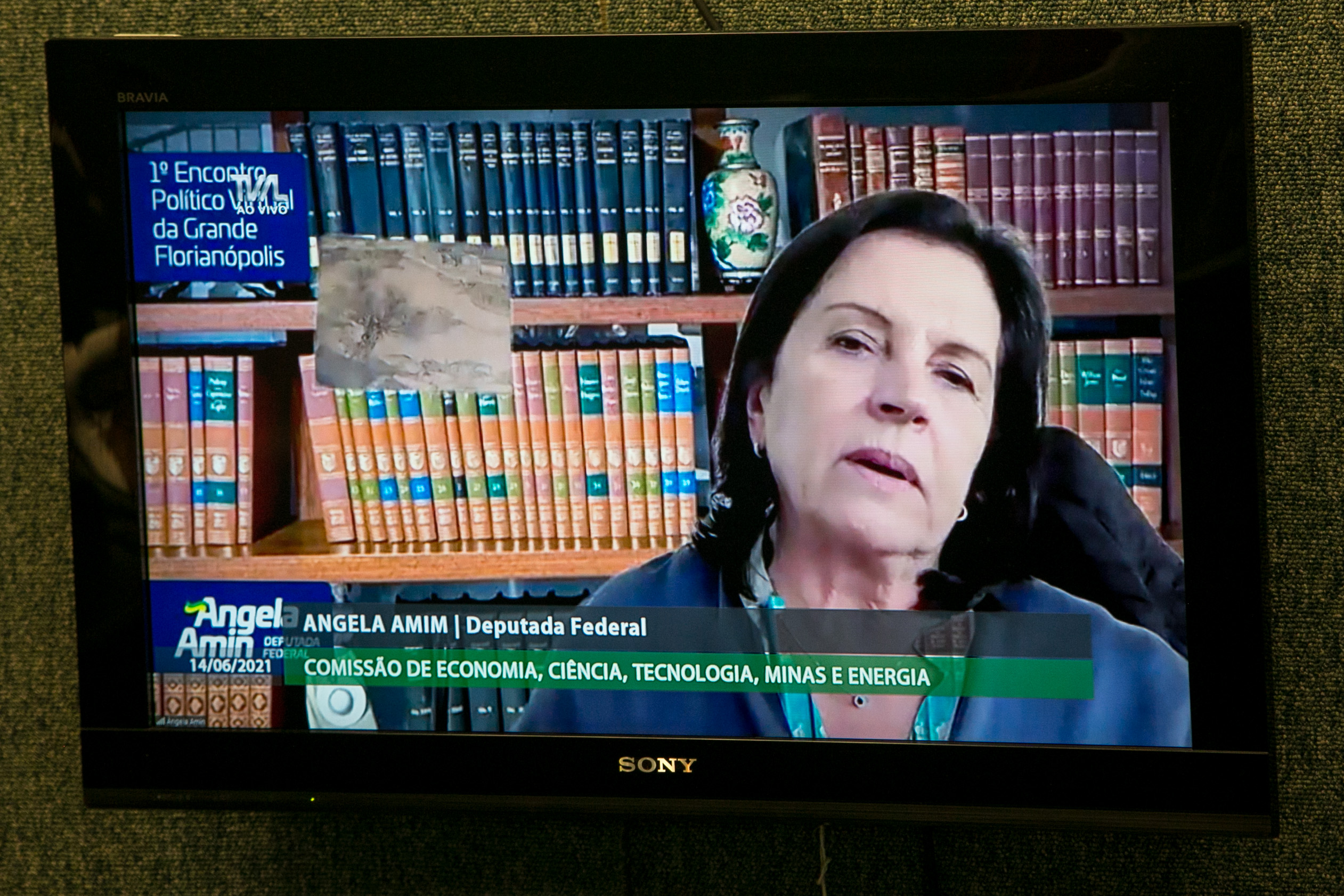 Deputada federal, Angela Amin
