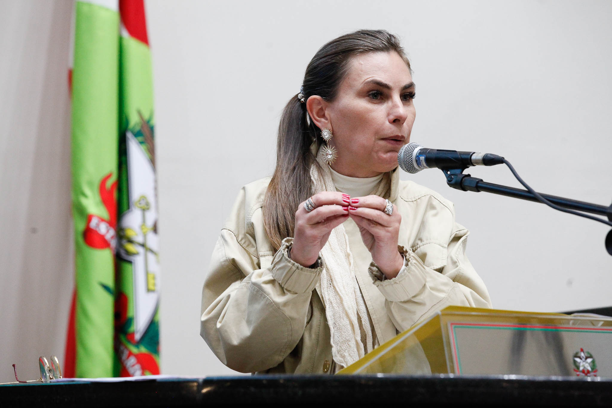 Deputada Ana Paula da Silva (-)