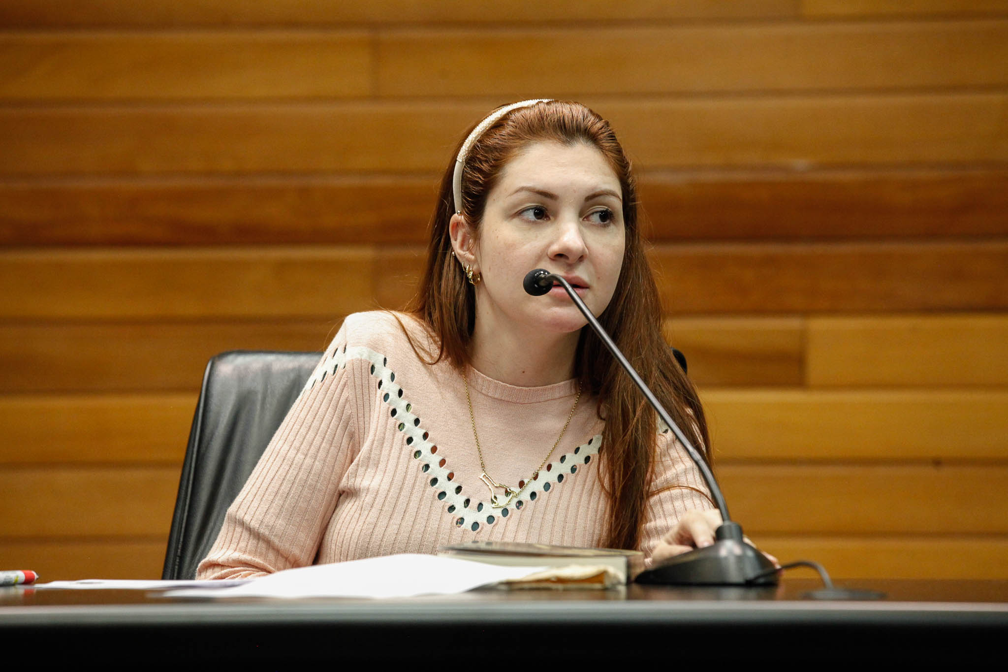 Deputada Ana Caroline Campagnolo (PSL)