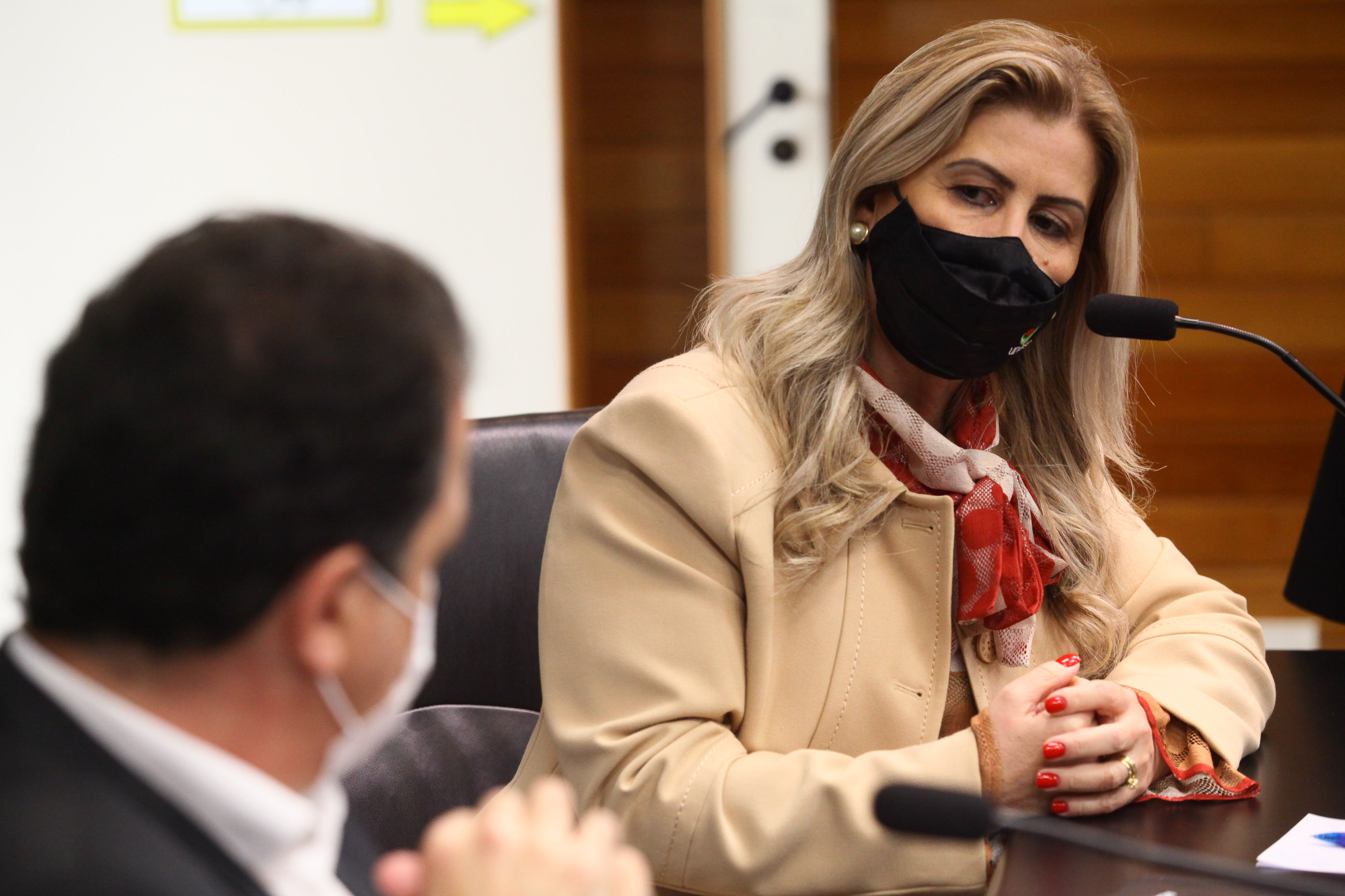 Frente Parlamentar em Defesa das Instituições de Educação Superior de SC - Luciane Sertta