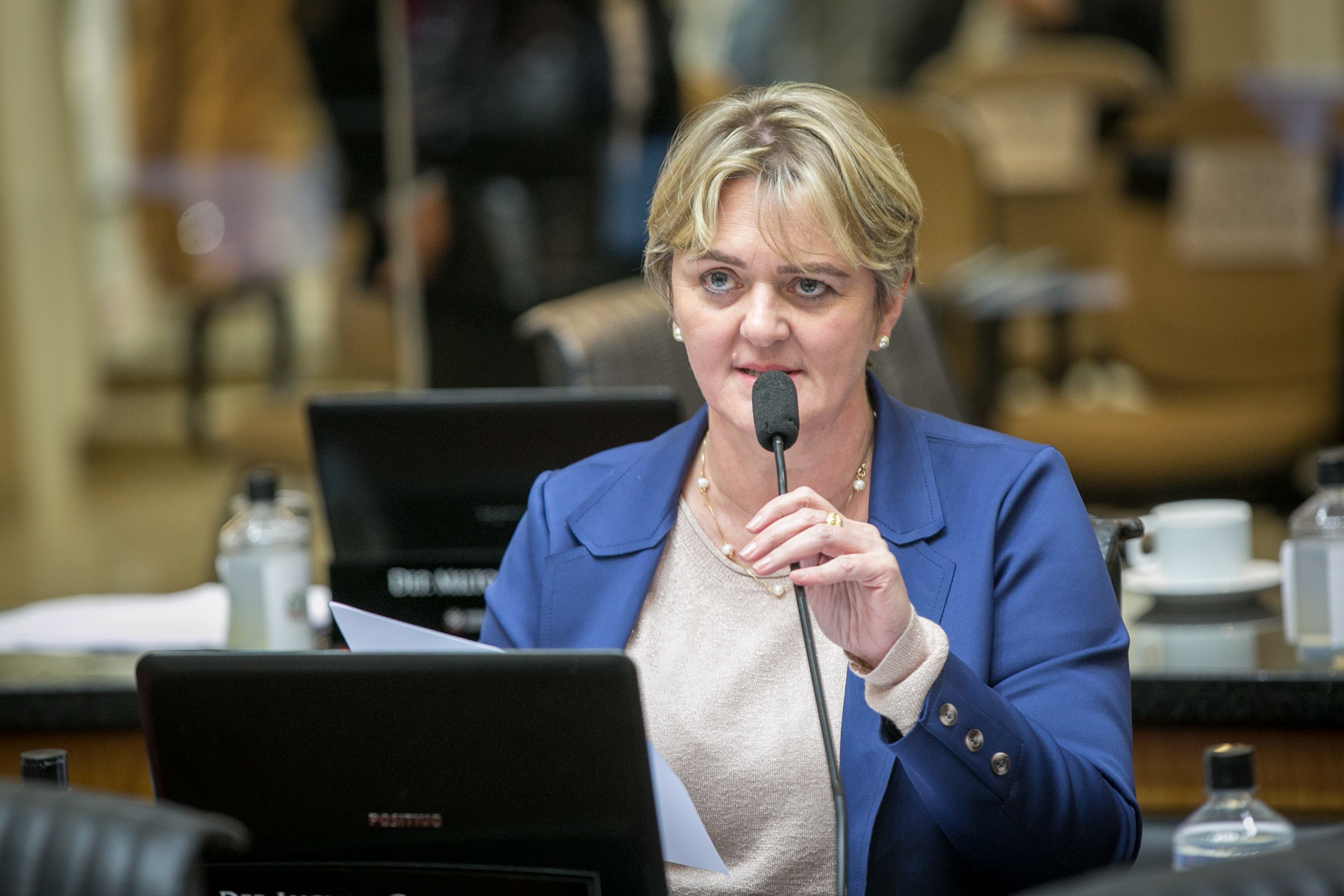 Deputada Luciane Carminatti (PT)