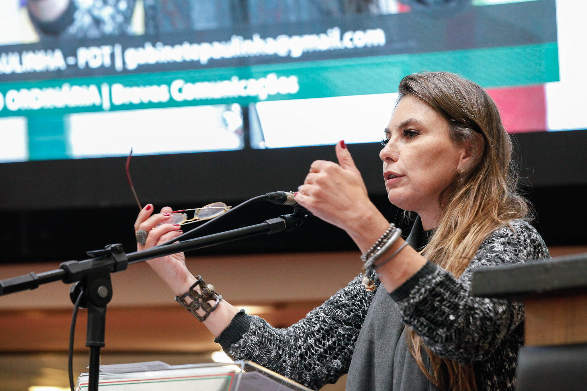 Deputada Ana Paula da Silva (PDT)