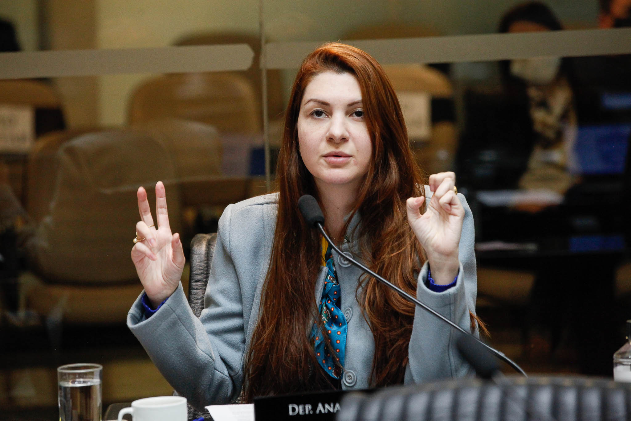 Deputada Ana Caroline Campagnolo (PSL)