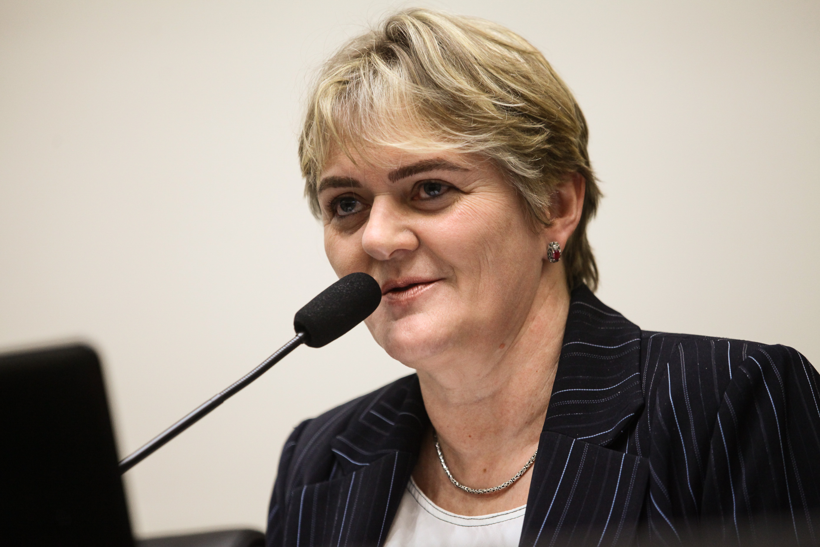 Comissão de Finanças e Tributação - Deputada Luciane Carminatti (PT)