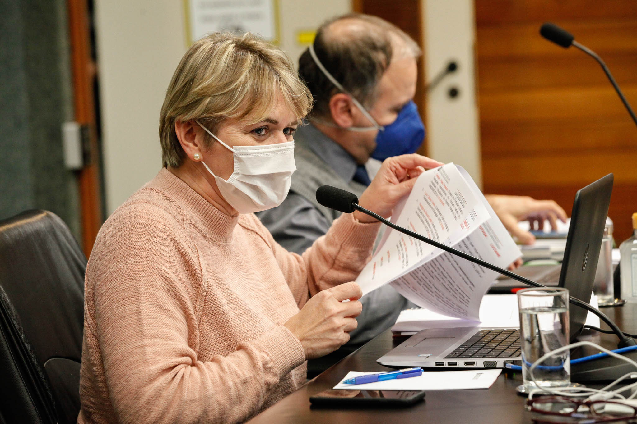Deputada Luciane Carminatti (PT)