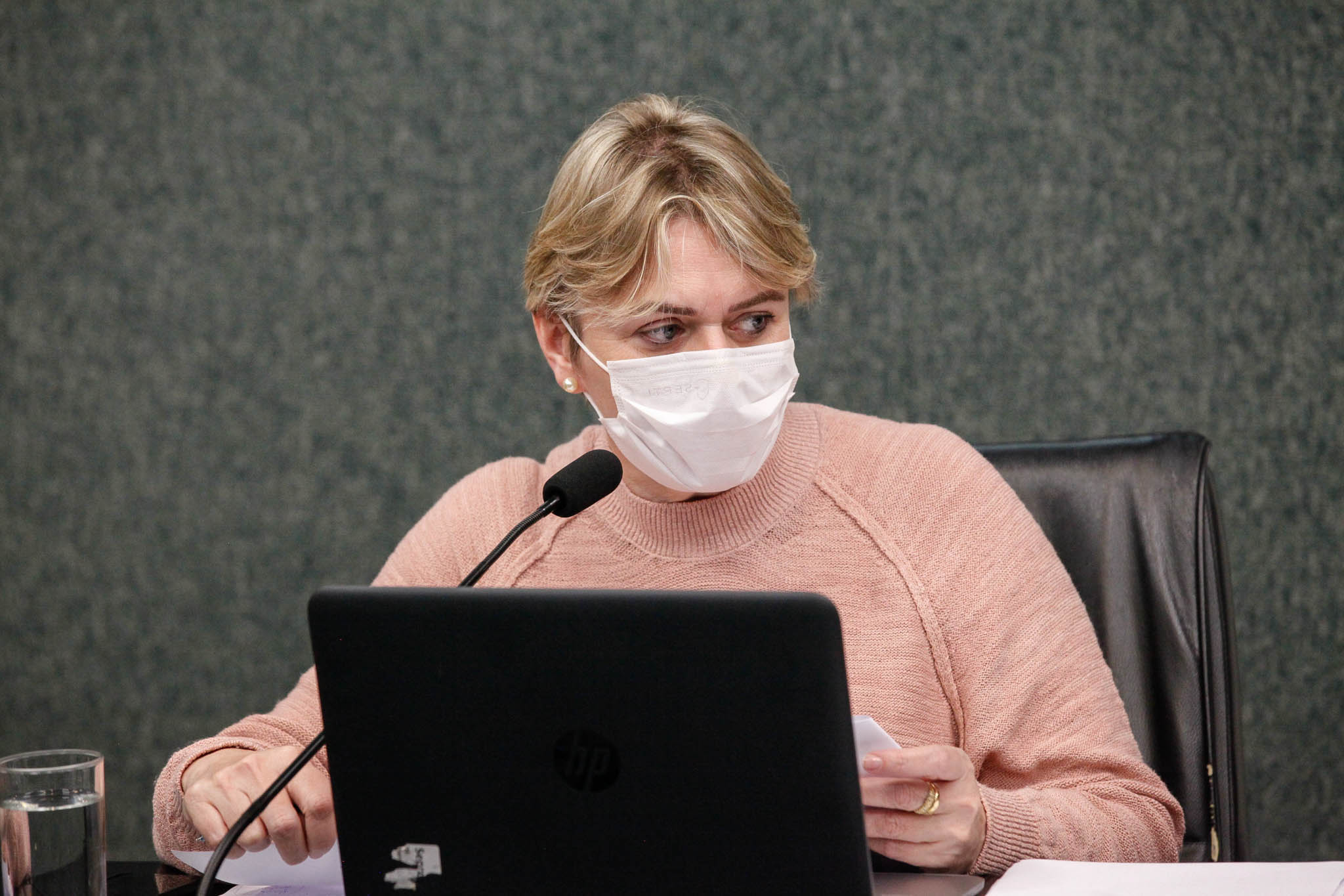 Deputada Luciane Carminatti (PT)