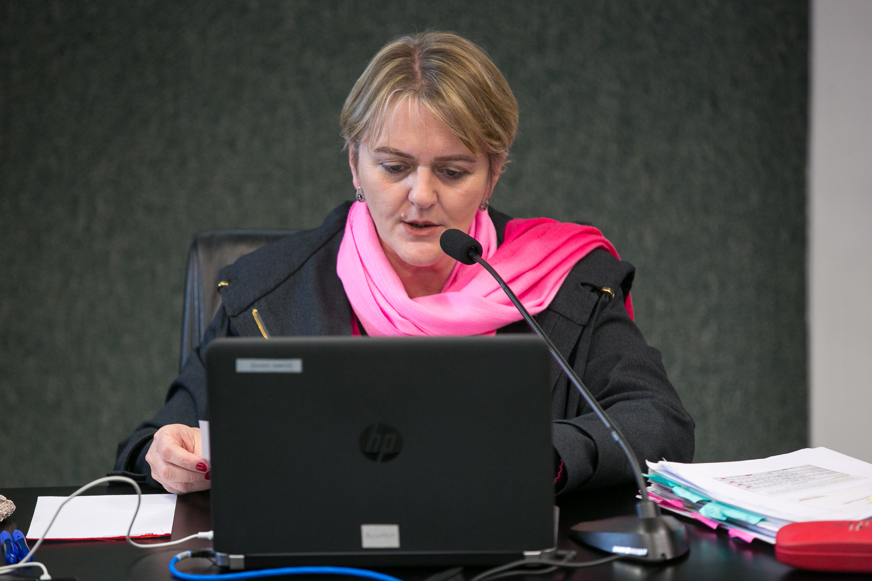 Deputada Luciane Carminatti (PT)