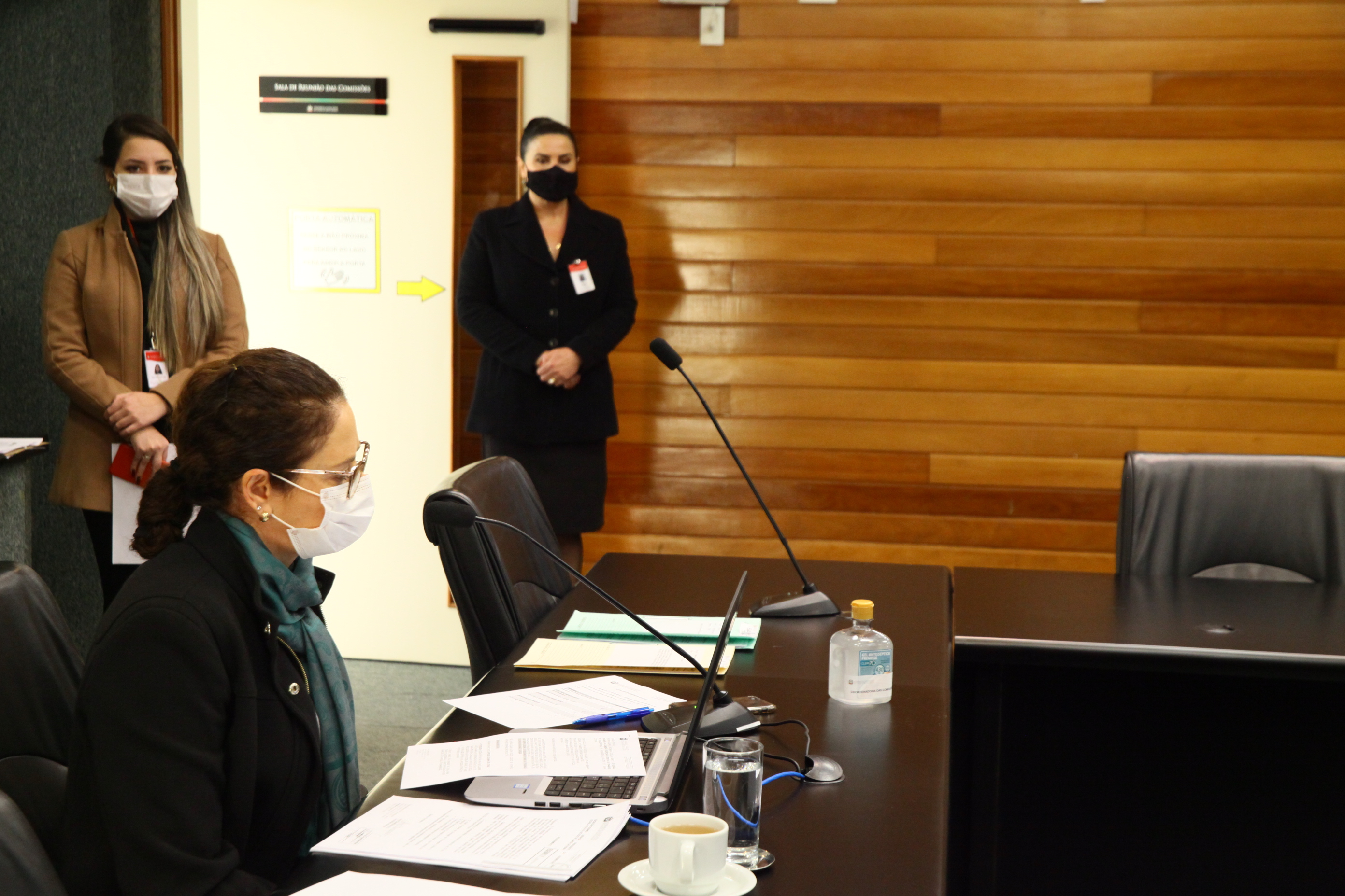 Comissão de Educação - Deputada Marlene Fengler (PSD)