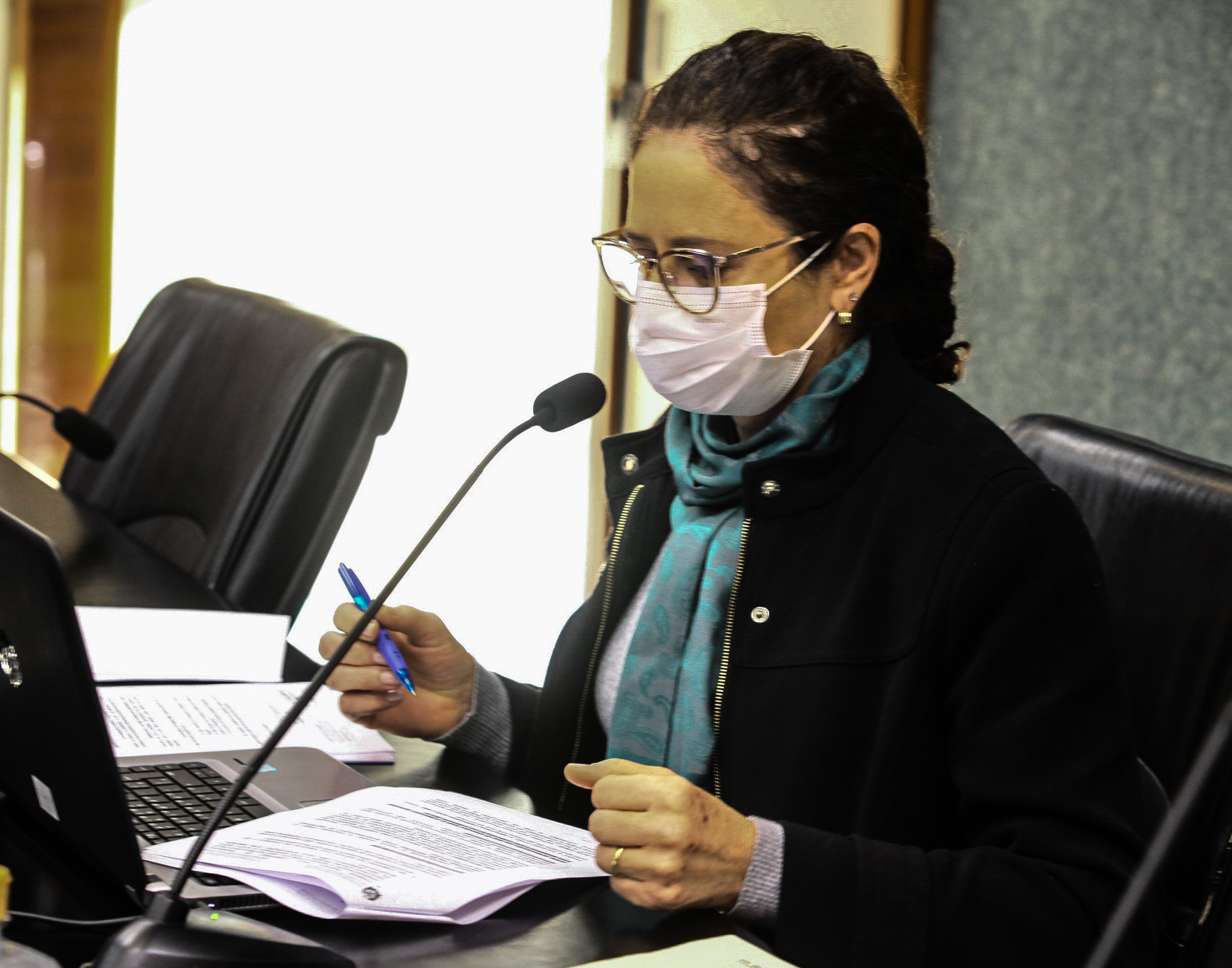 Comissão de Educação - Deputada Marlene Fengler (PSD)