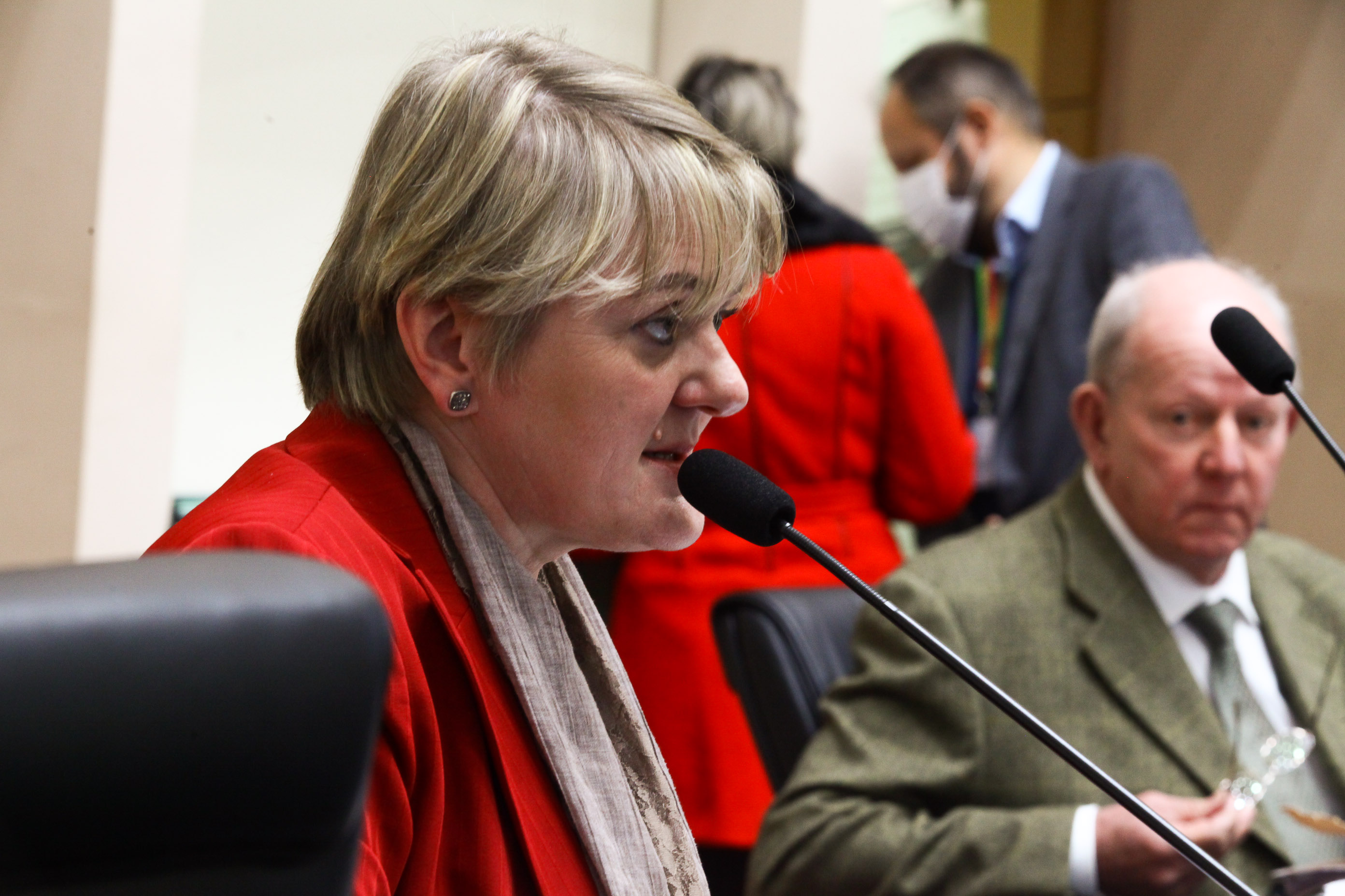 Comissão de Finanças e Tributação - Deputada Luciane Carminatti (PT)