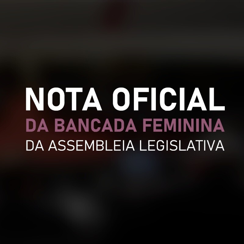 Bancada Feminina publica nota oficial de combate à homofobia em Florianópolis