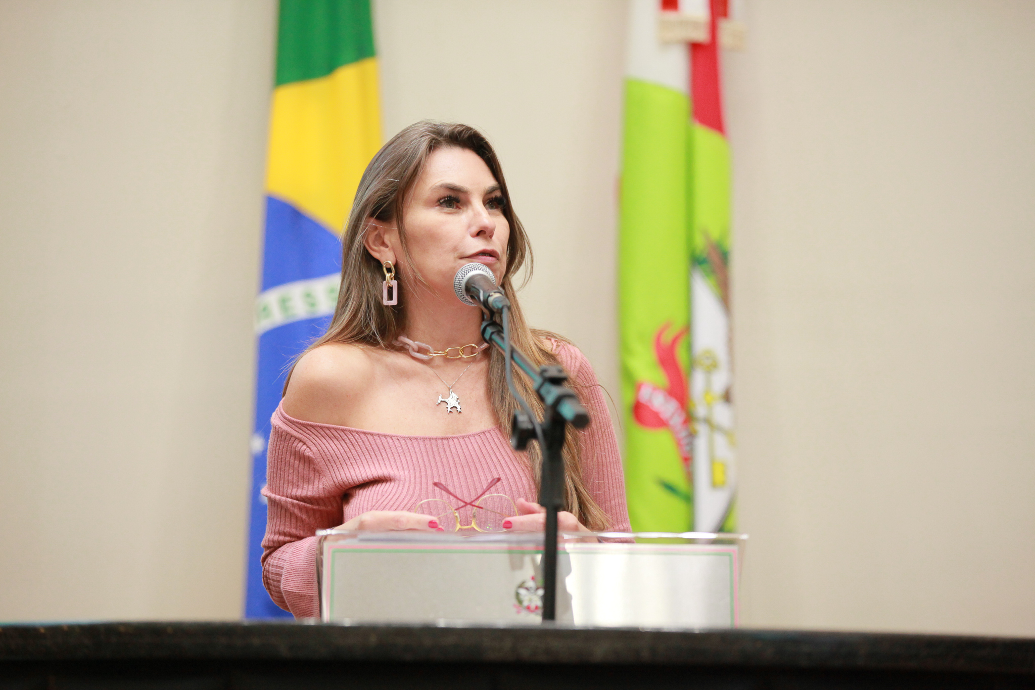 Deputada Ana Paula da Silva (-)