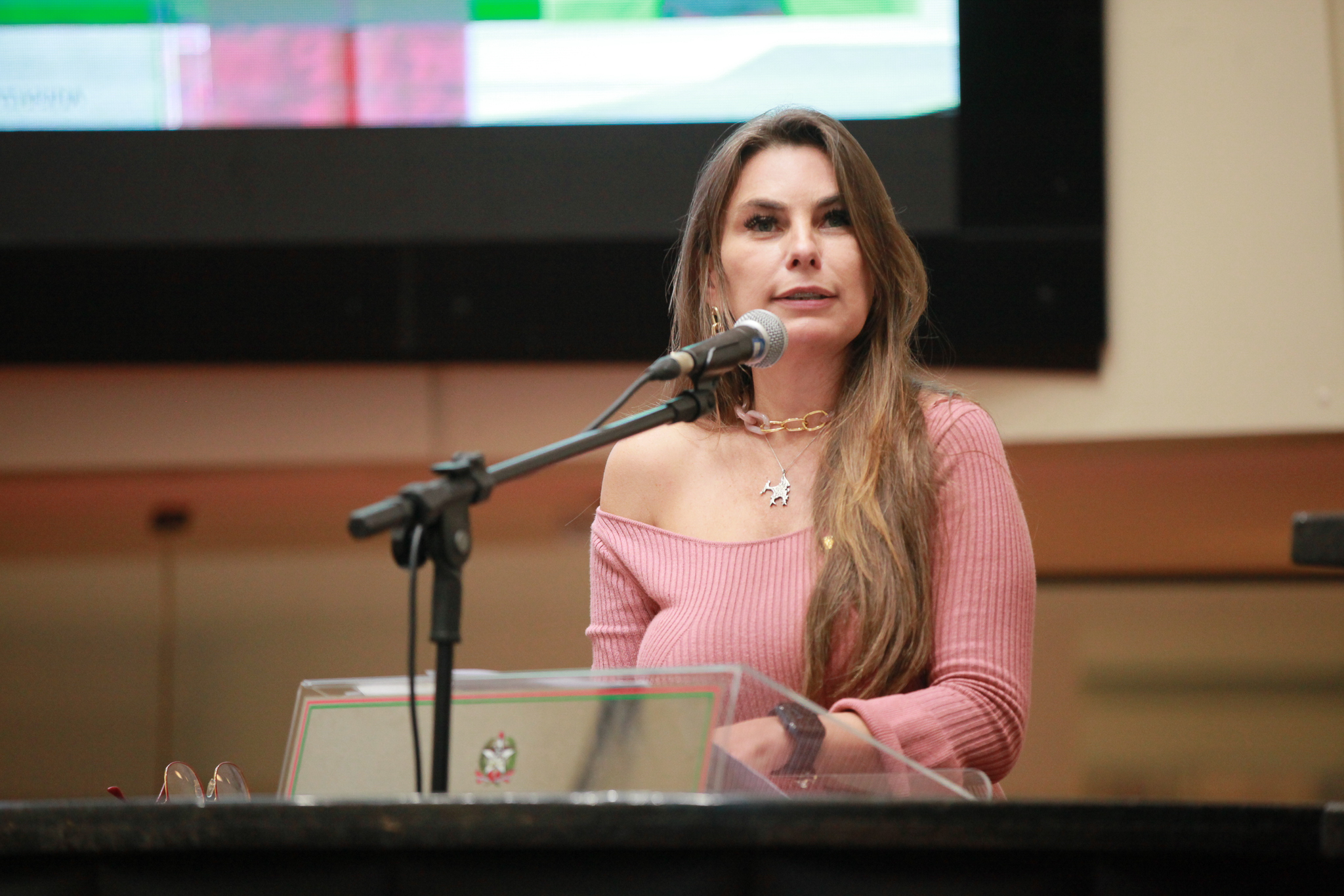 Deputada Ana Paula da Silva (-)