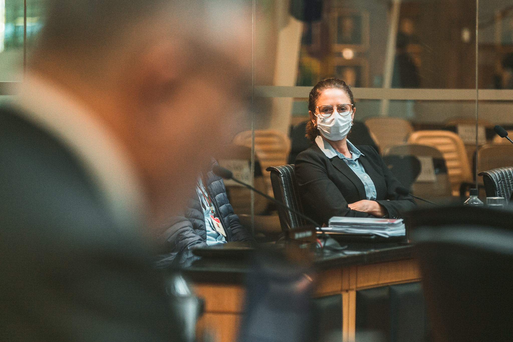 Deputada Marlene Fengler (PSD)