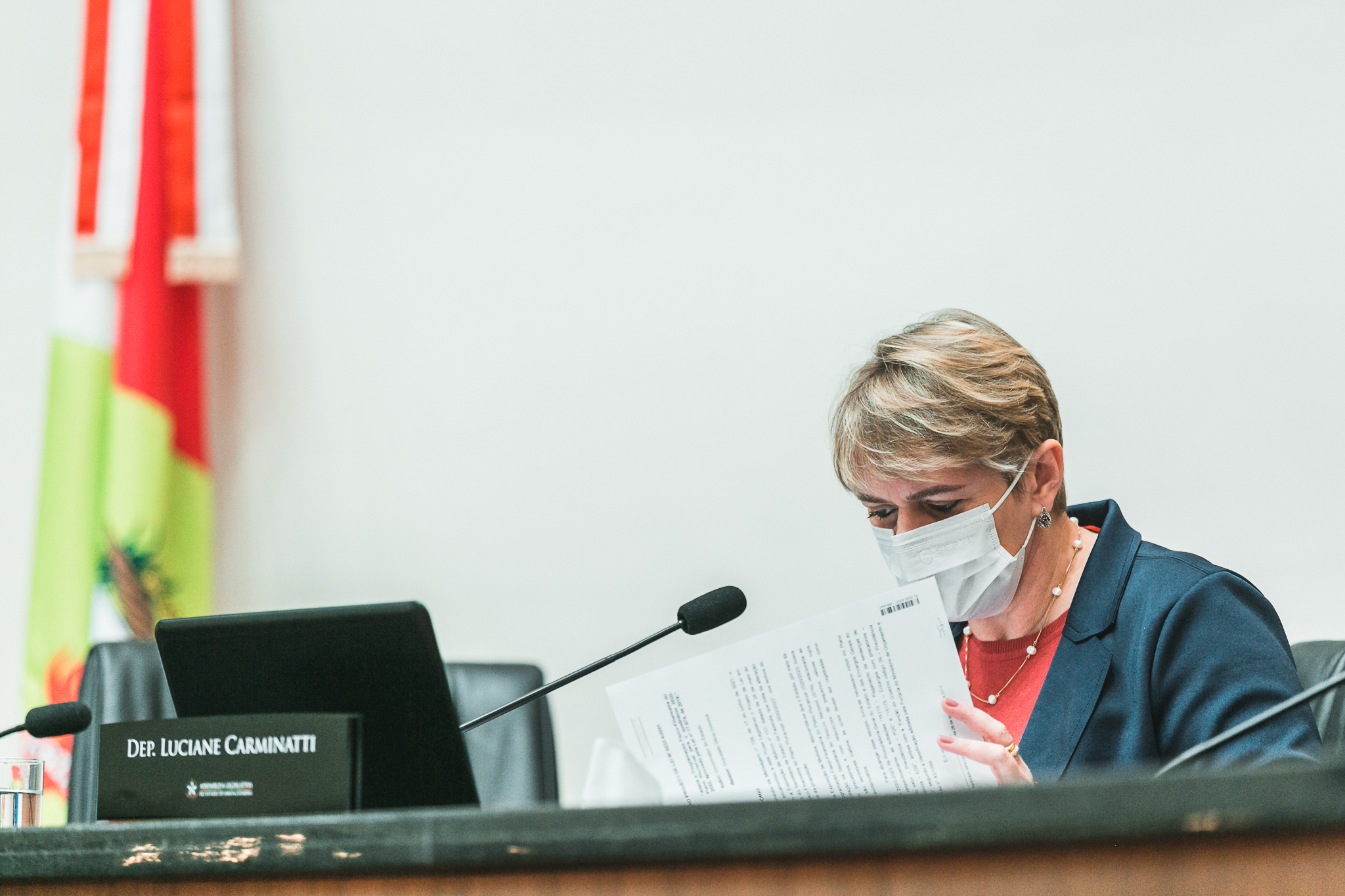 Deputada Luciane Carminatti (PT)