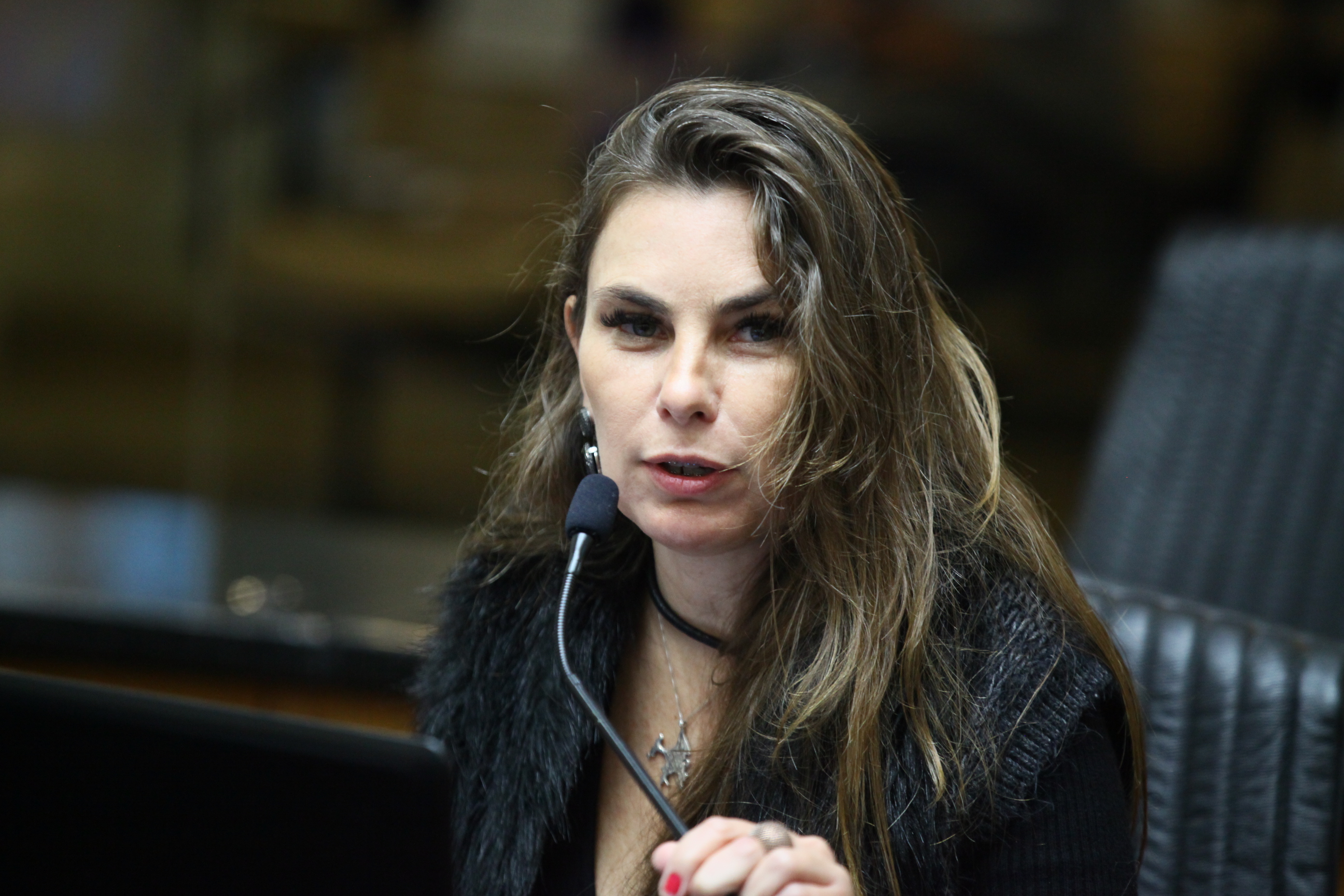 Reunião Conjunta das Comissões de Constituição e Justiça, de Finanças e de Trabalho - Deputada Ana Paula da Silva (PDT)