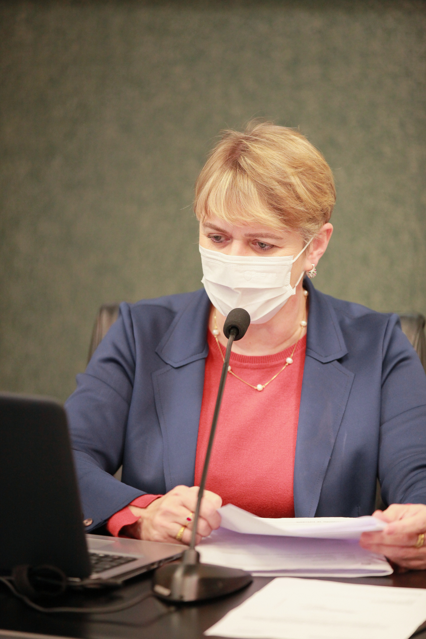 Deputada Luciane Carminatti (PT)