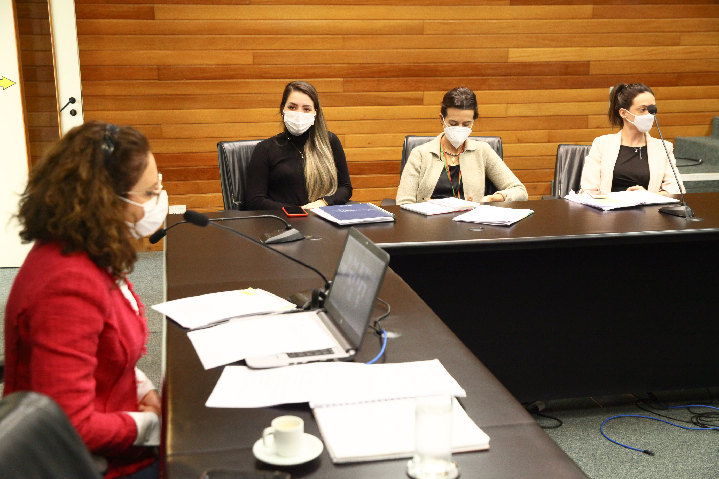 Reunião Virtual/Presencial do Grupo de Trabalho da Comissão de Defesa dos Direitos da Criança e do Adolescente.