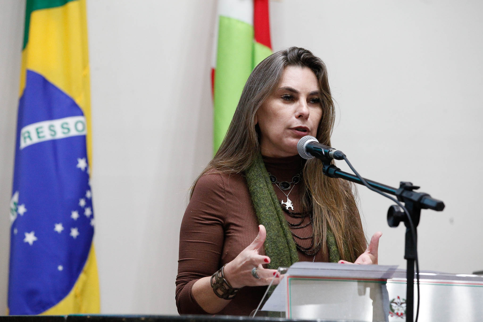 Deputada Ana Paula da Silva