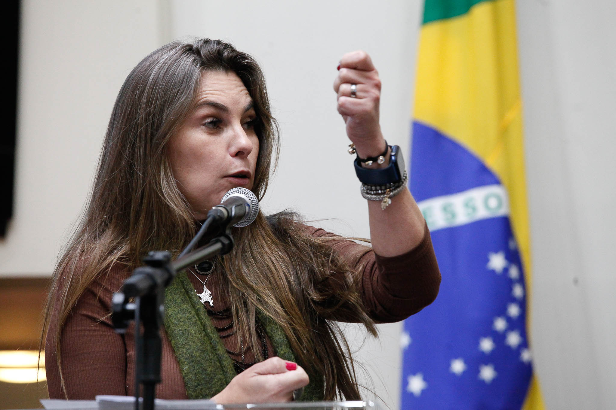 Deputada Ana Paula da Silva
