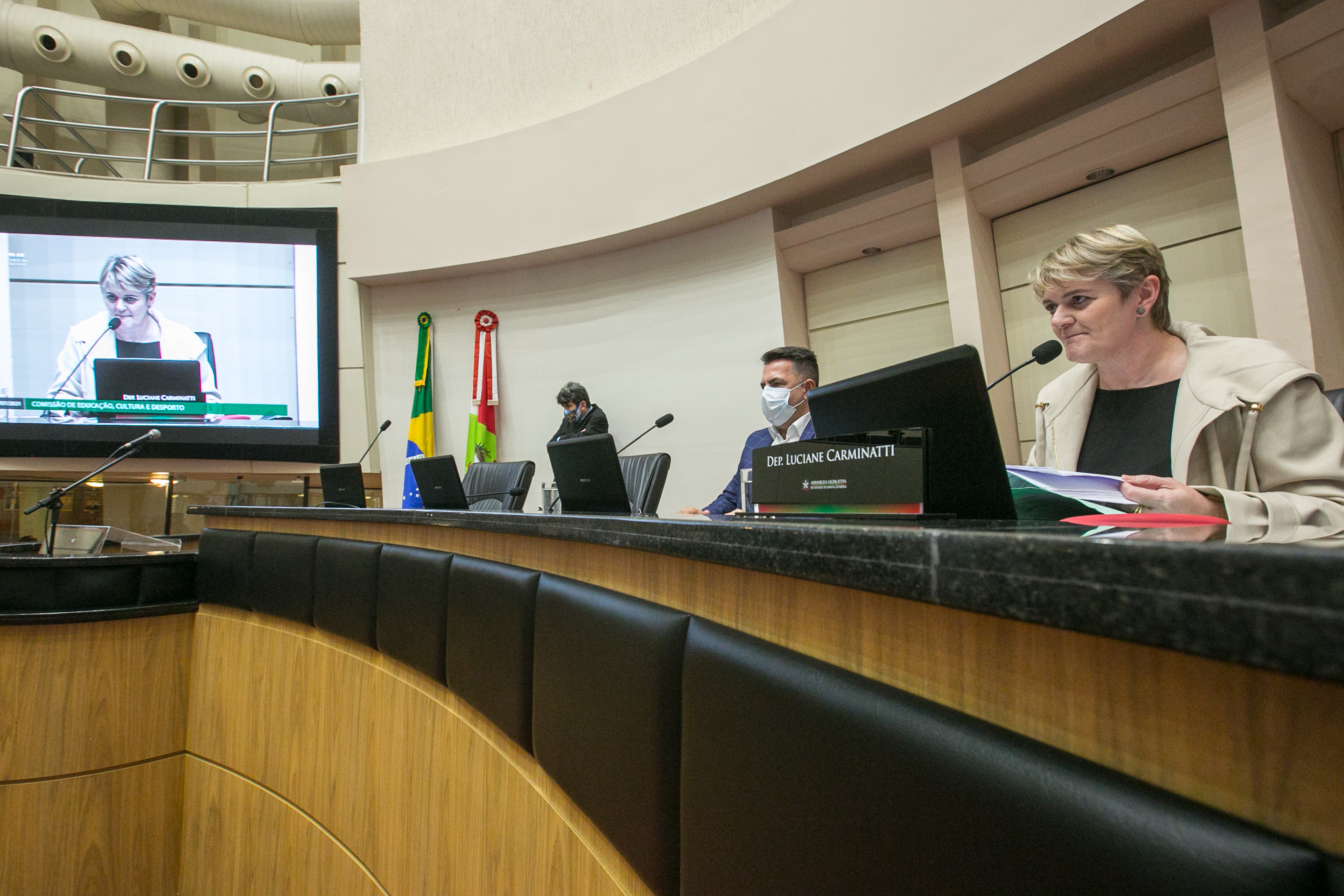 Deputada Luciane Carminatti (PT)