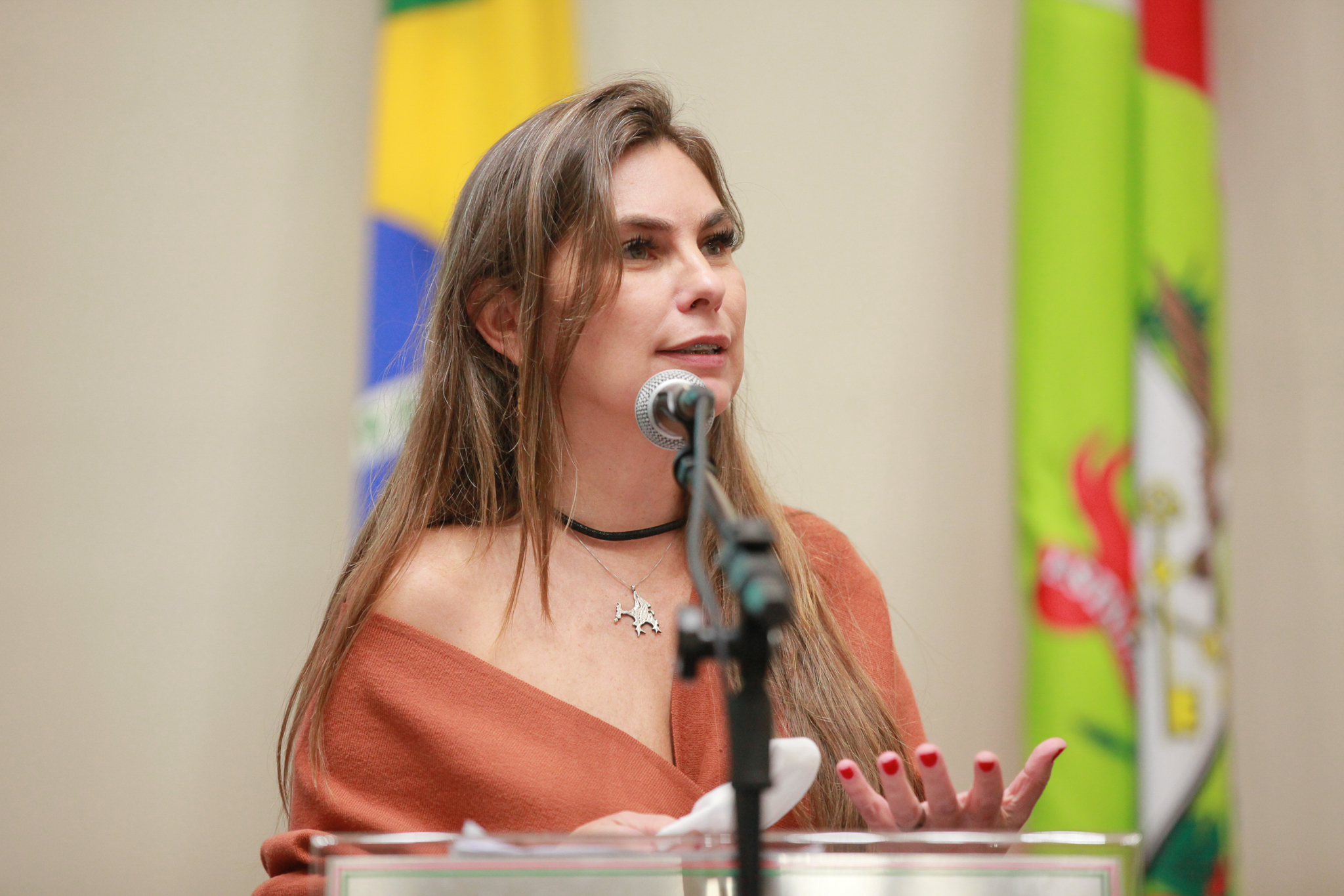 Deputada Ana Paula da Silva (-)