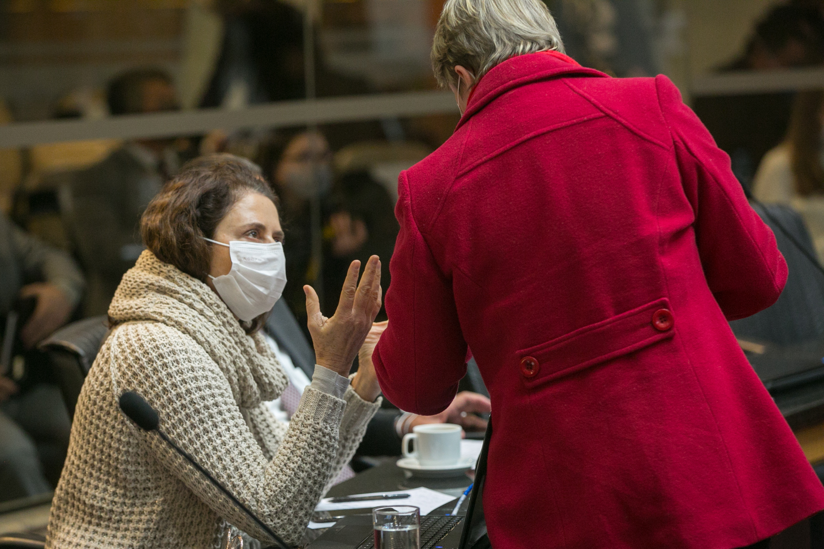 Deputada Marlene Fengler (PSD)