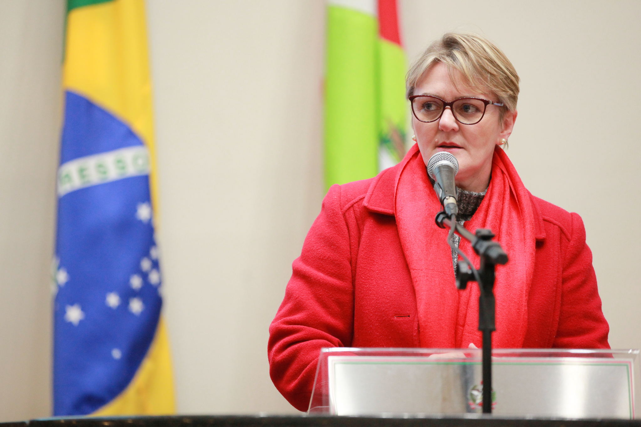 Deputada Luciane Carminatti (PT)