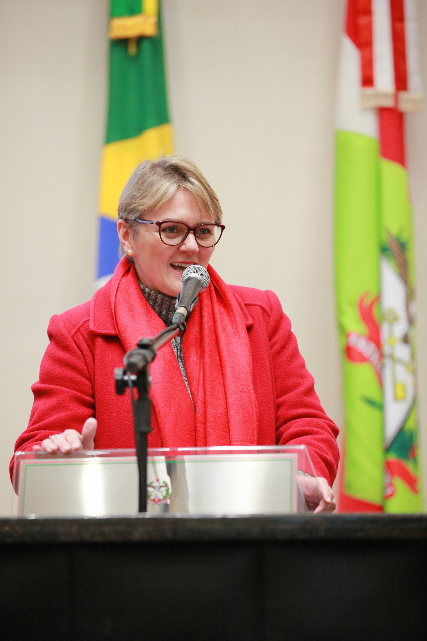Deputada Luciane Carminatti (PT)