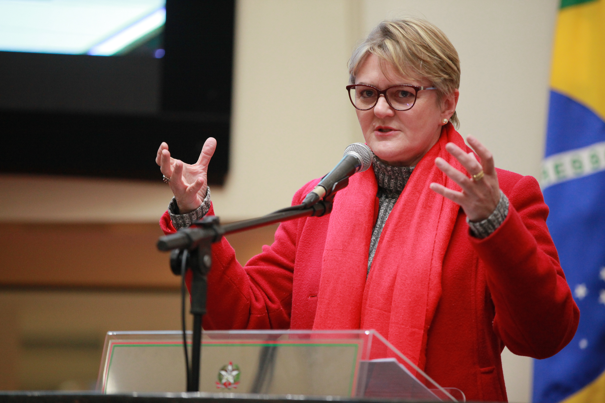 Deputada Luciane Carminatti (PT)
