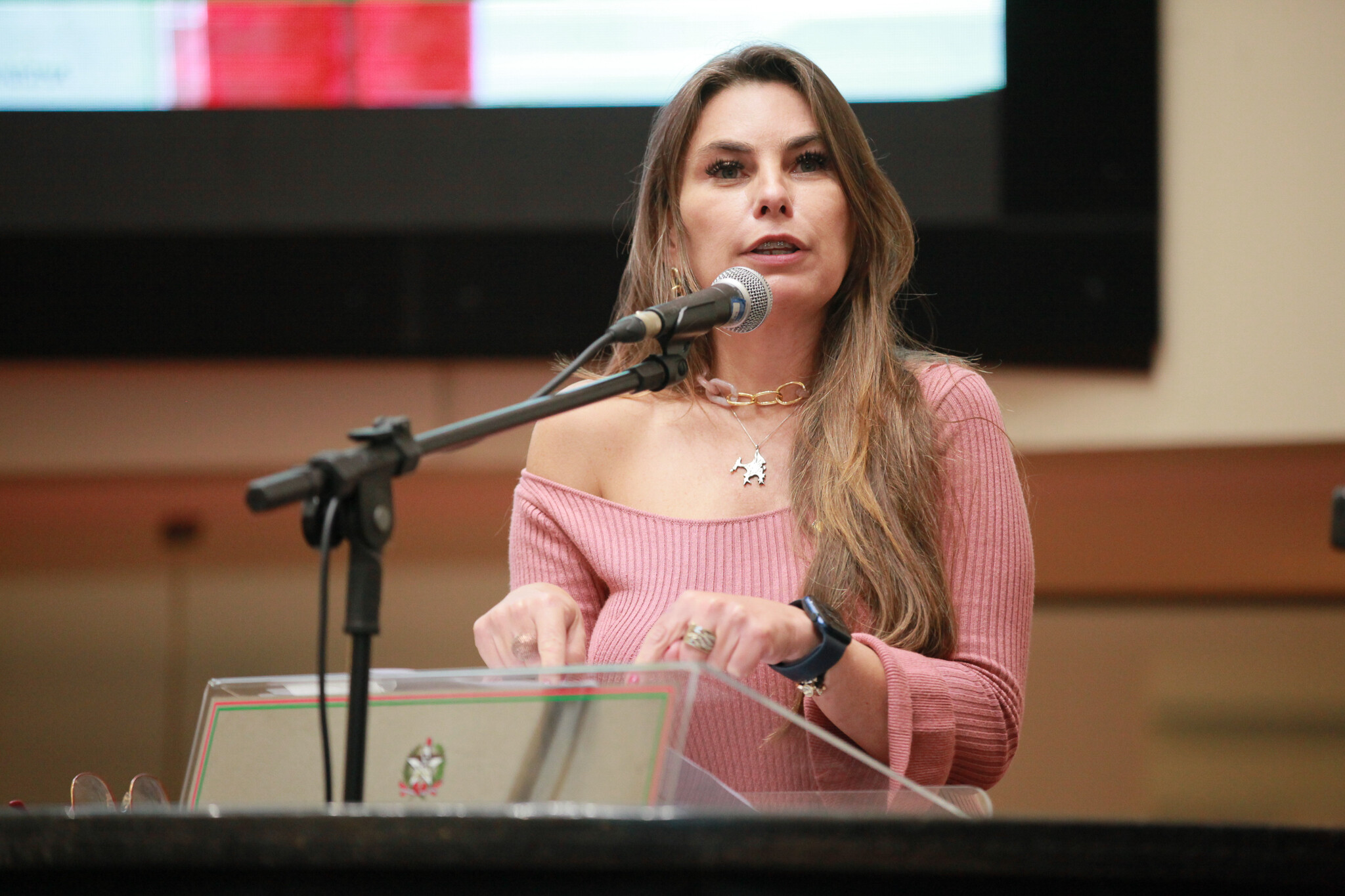 Paulinha pede atenção a PL sobre pacientes ostomizados