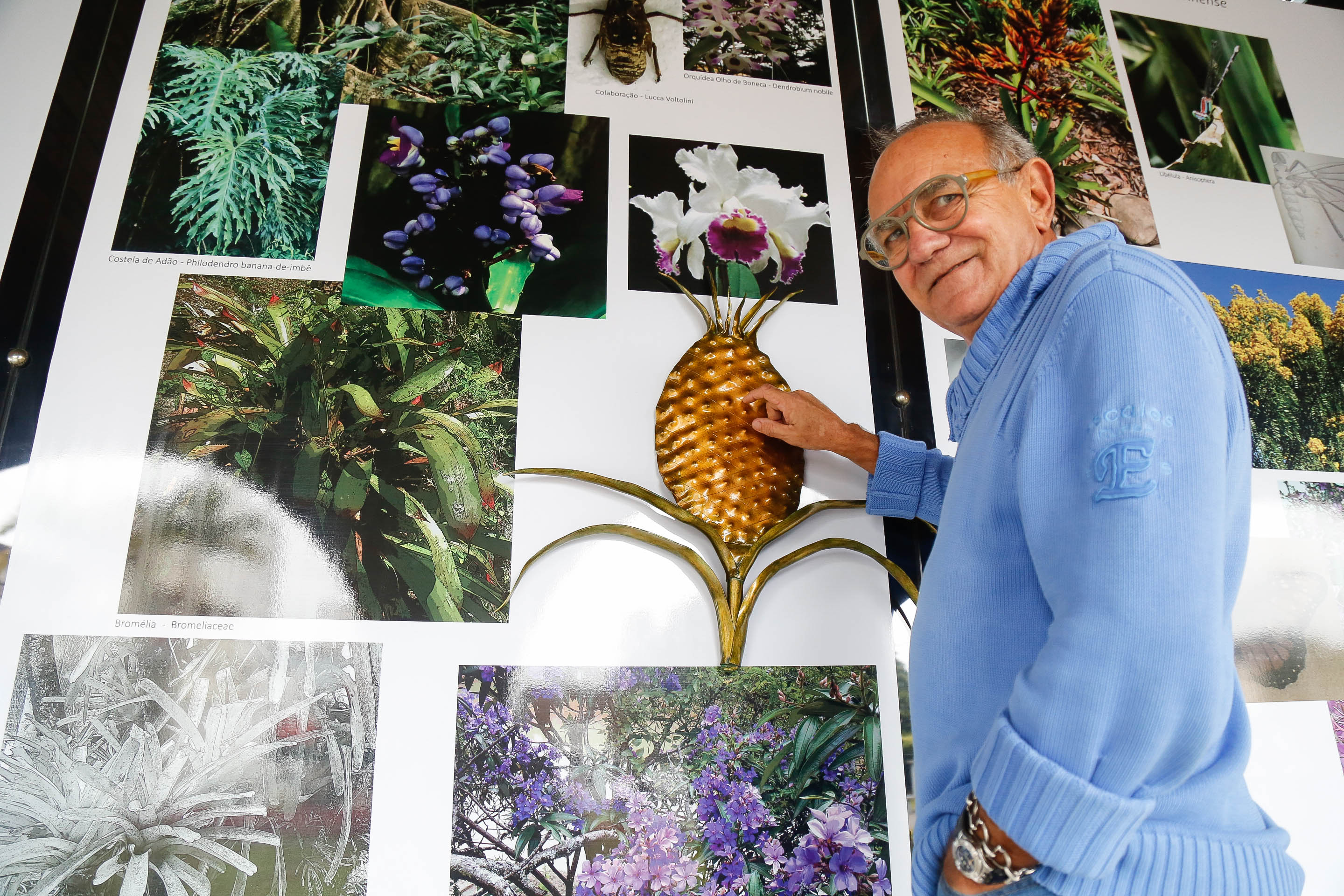 Luiz Bernardes - Exposição Fritz Mueller