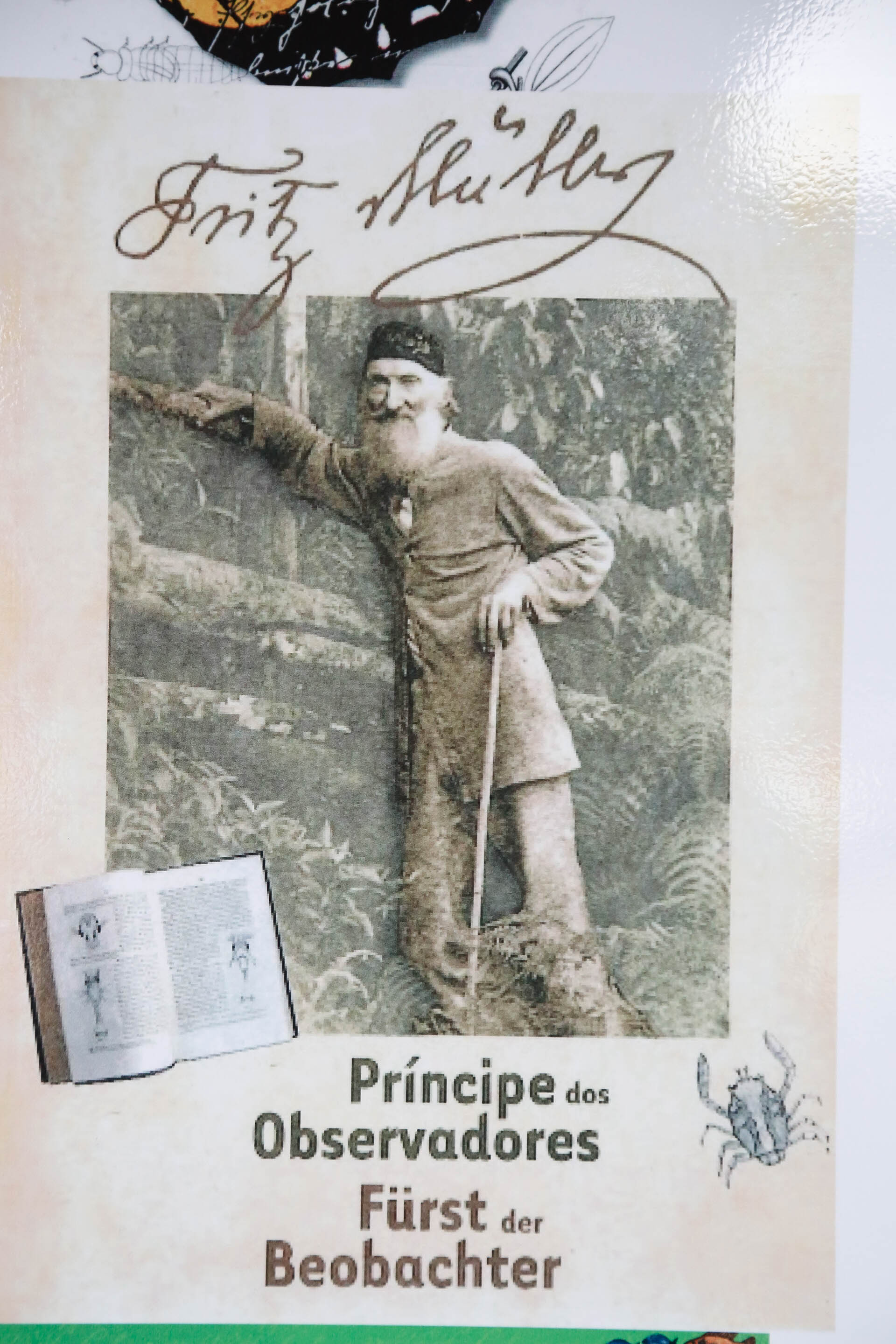Exposição de Fritz Mülller - Prefeitura de Blumenau
