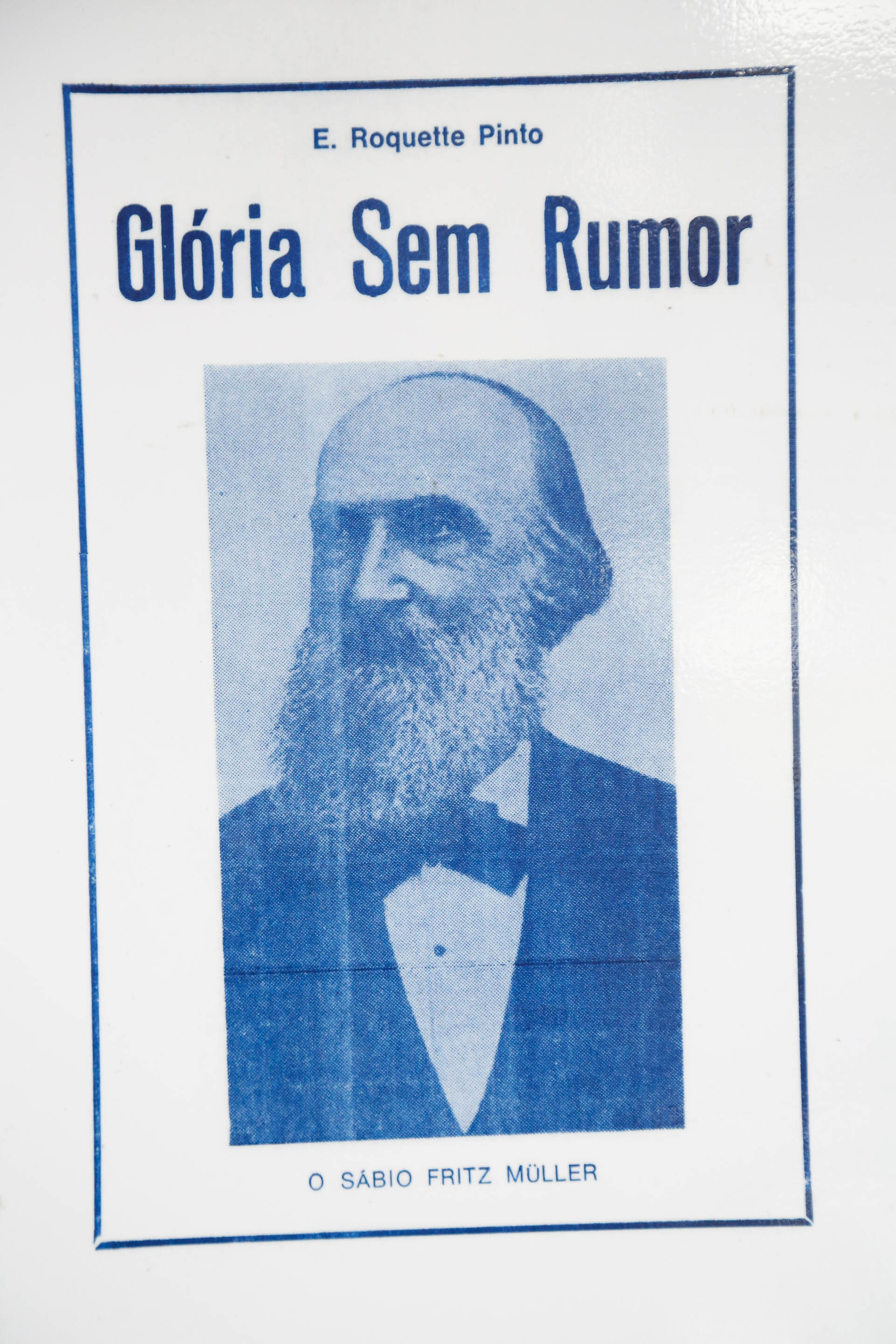 Exposição de Fritz Mülller - Prefeitura de Blumenau