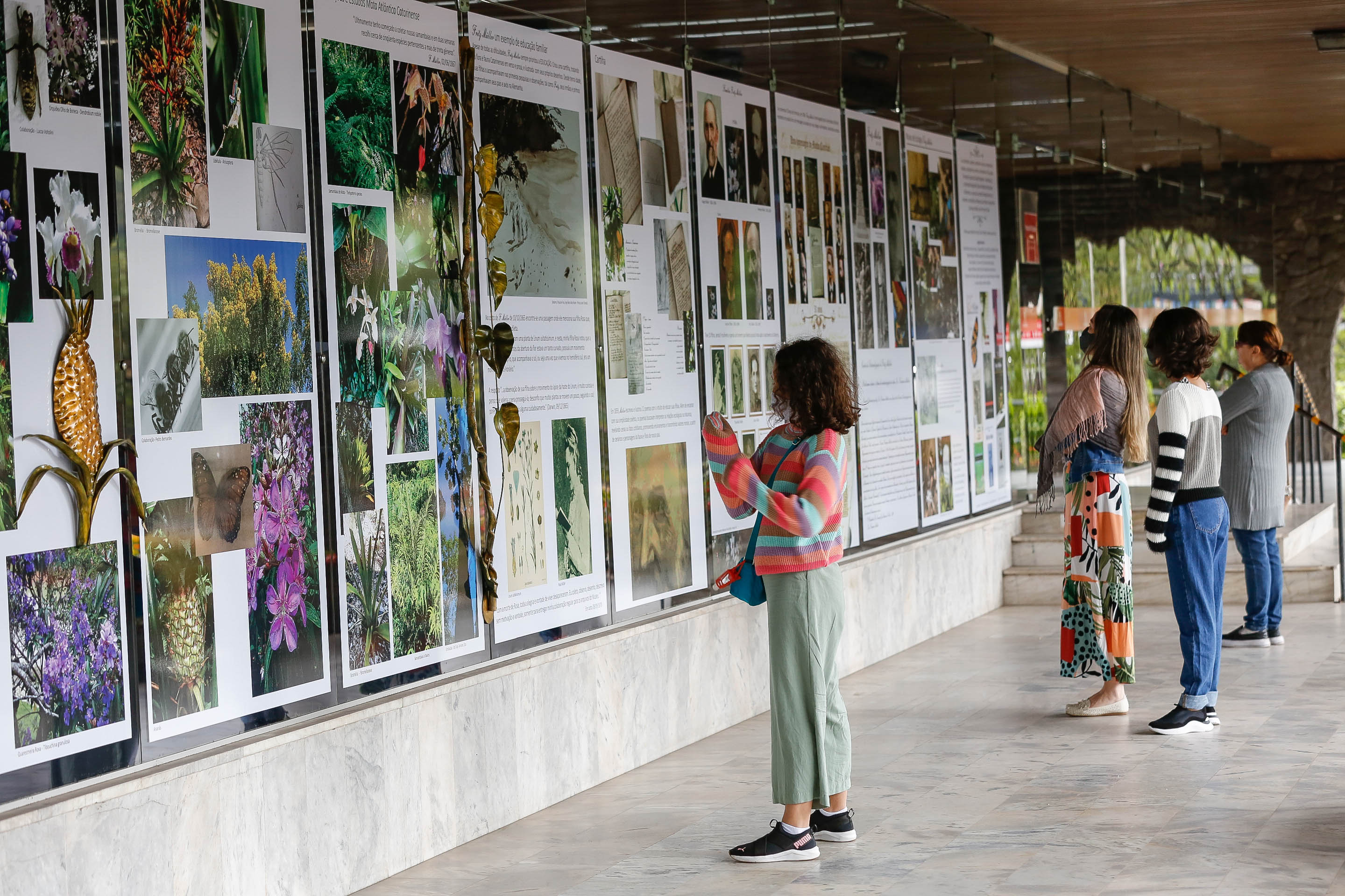 Exposição de Fritz Mülller - Prefeitura de Blumenau