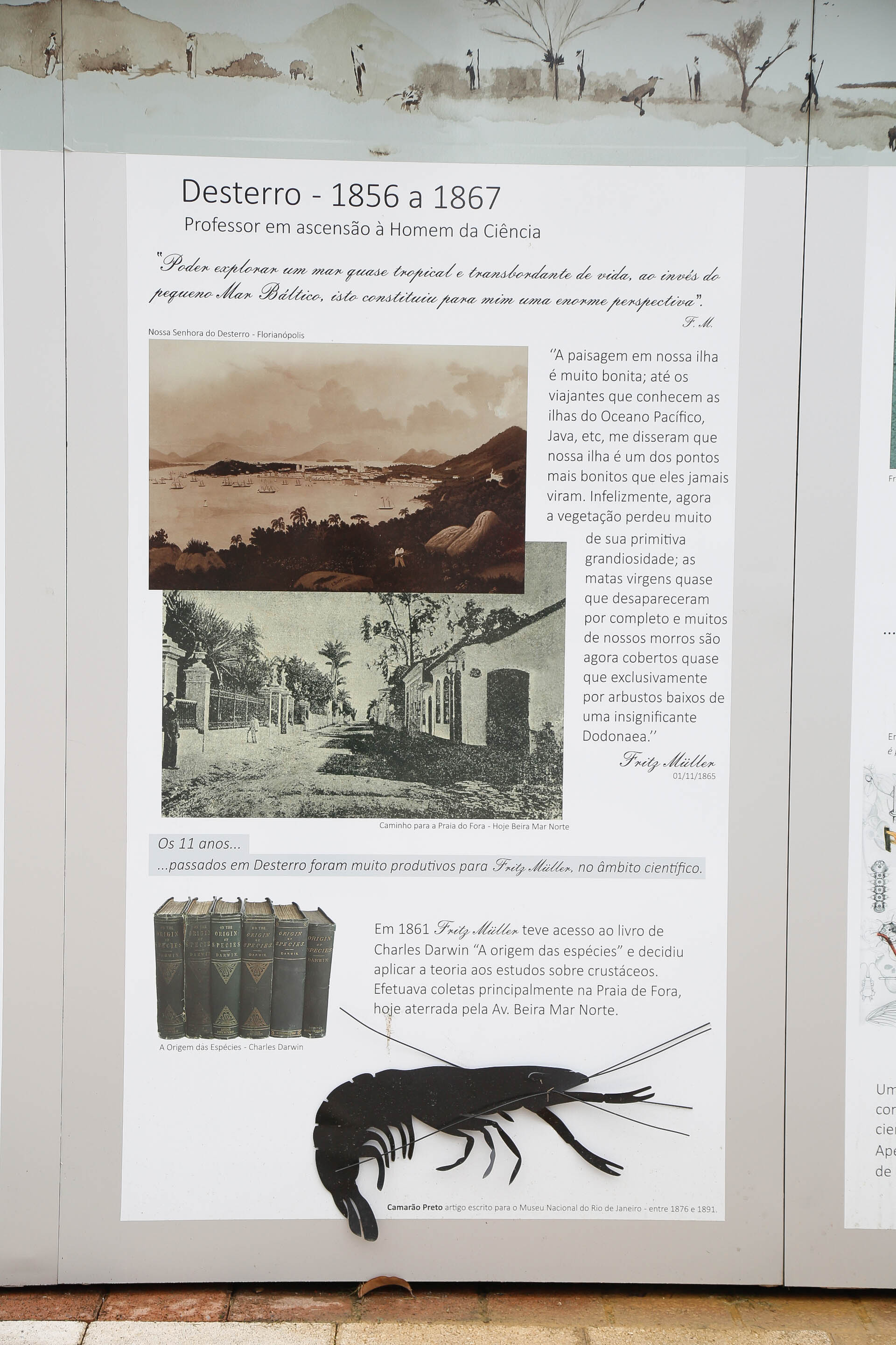 Galeria de Fritz Müller a Céu Aberto na Alameda Rio Branco/Blumenau