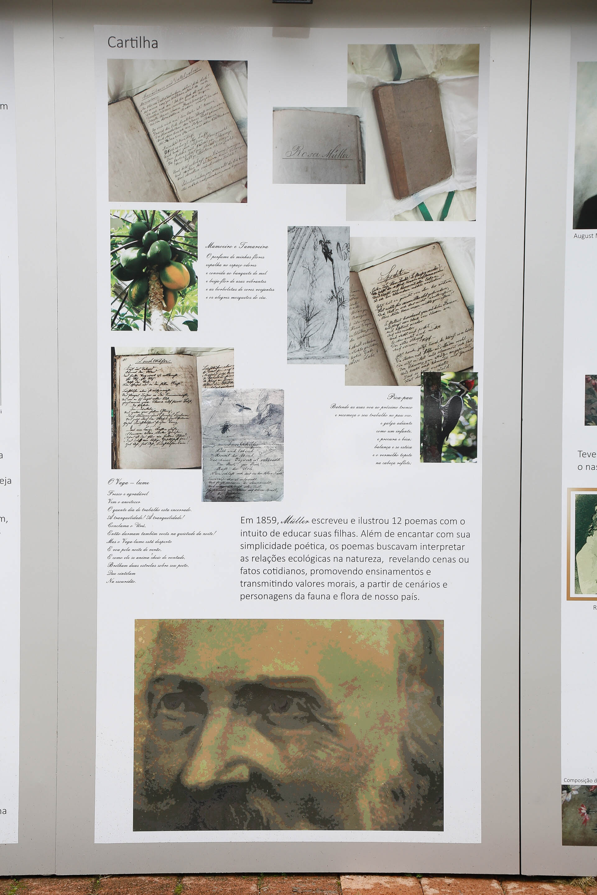 Galeria de Fritz Müller a Céu Aberto na Alameda Rio Branco/Blumenau