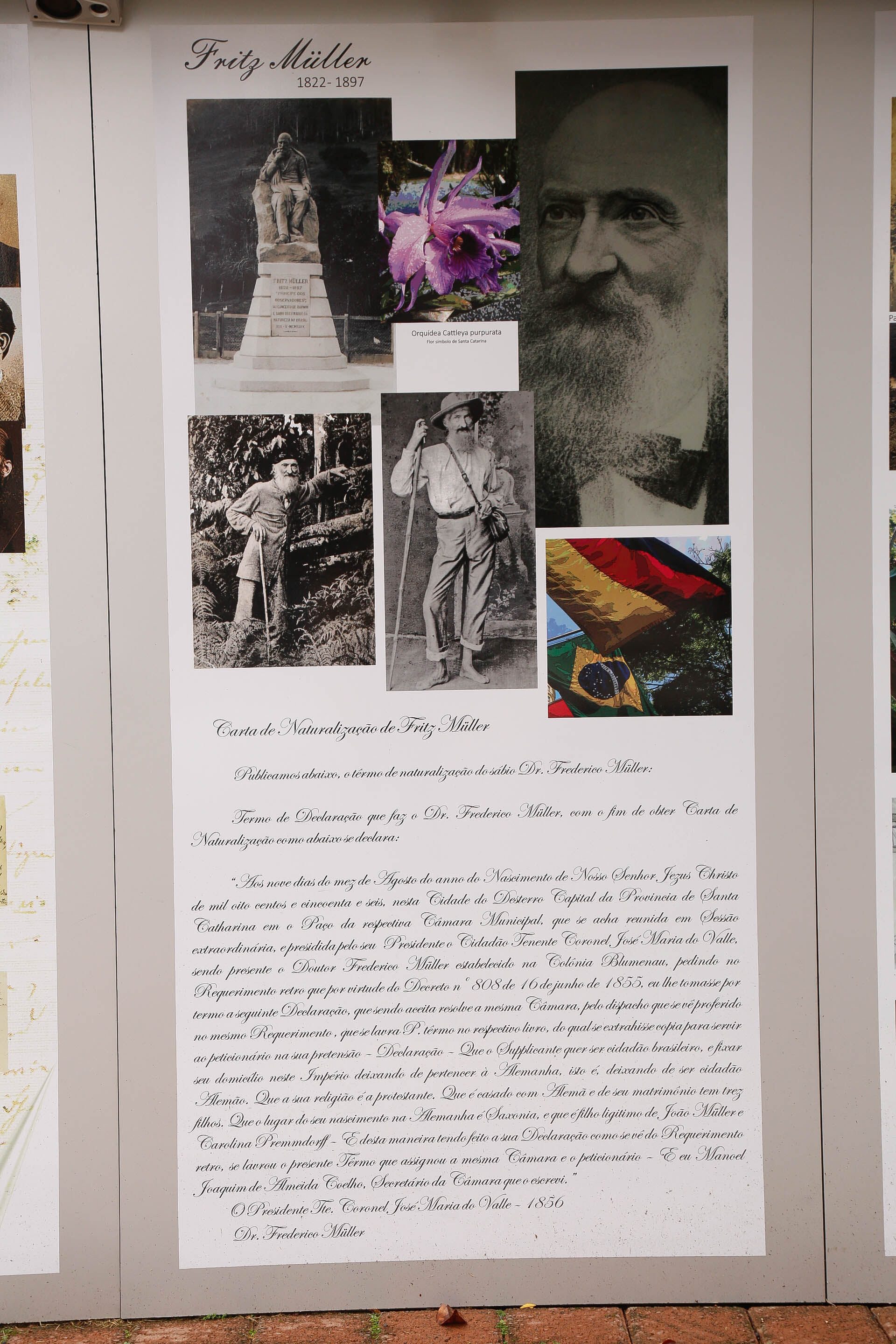 Galeria de Fritz Müller a Céu Aberto na Alameda Rio Branco/Blumenau