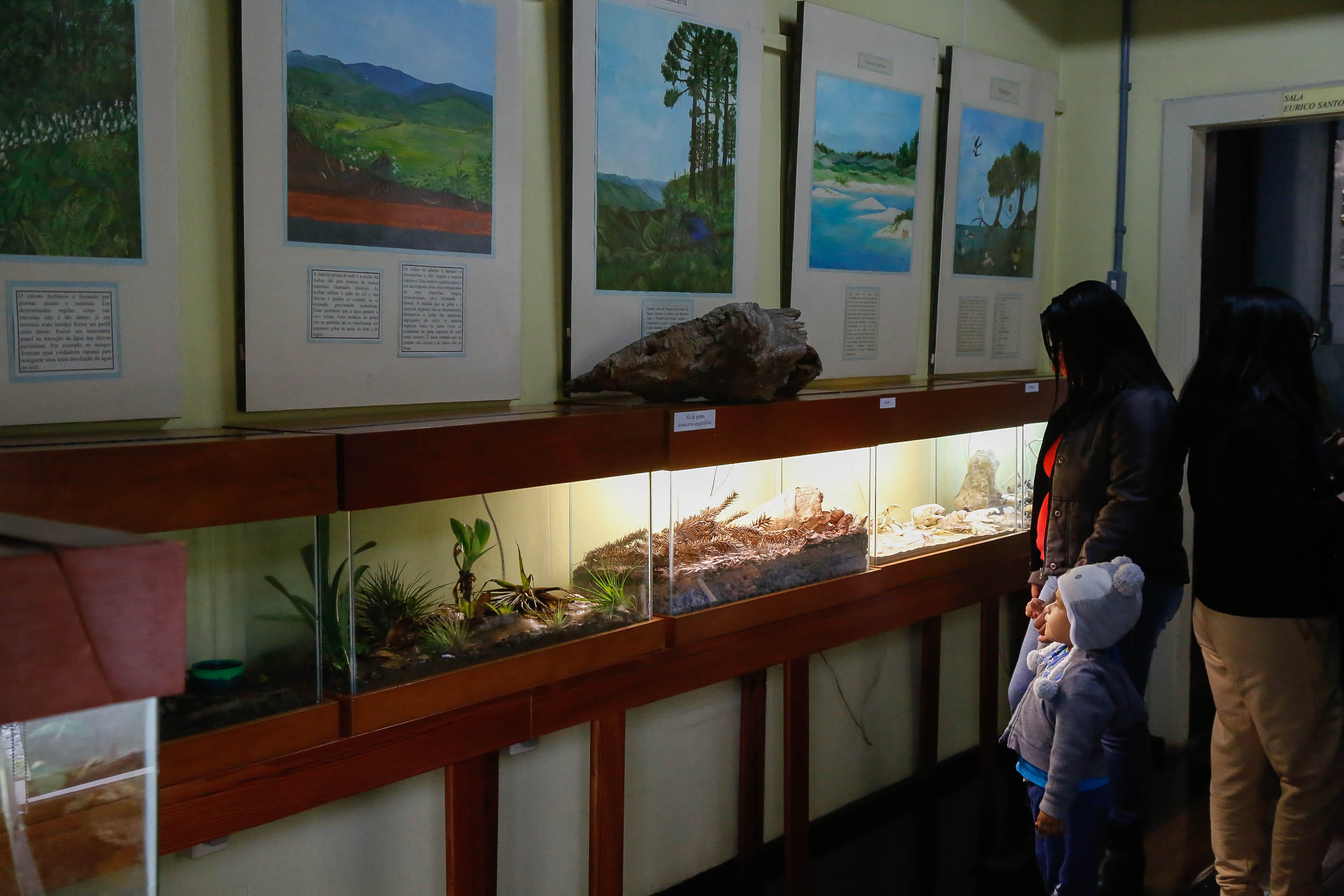 Museu de Ecologia Fritz Müller