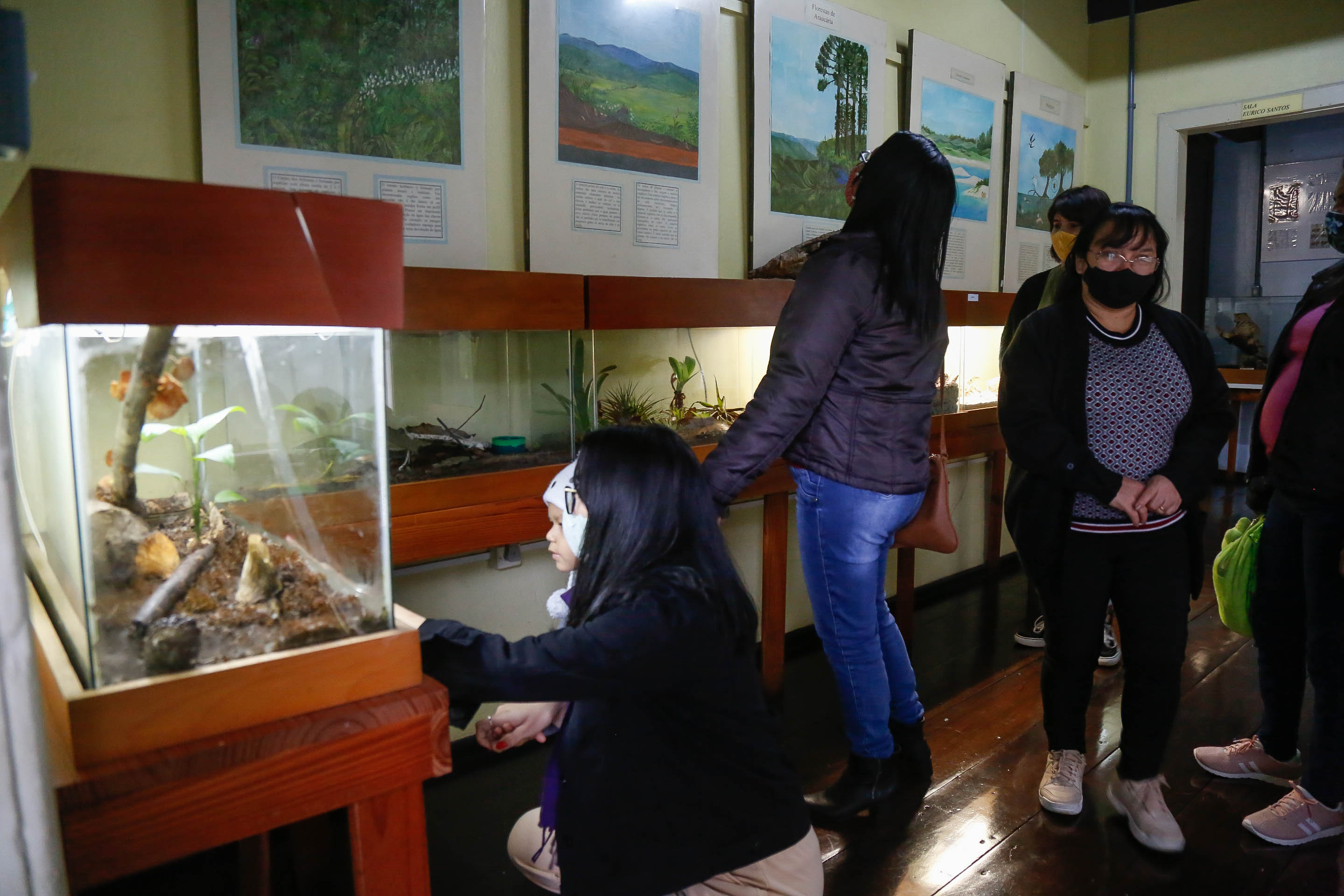 Museu de Ecologia Fritz Müller