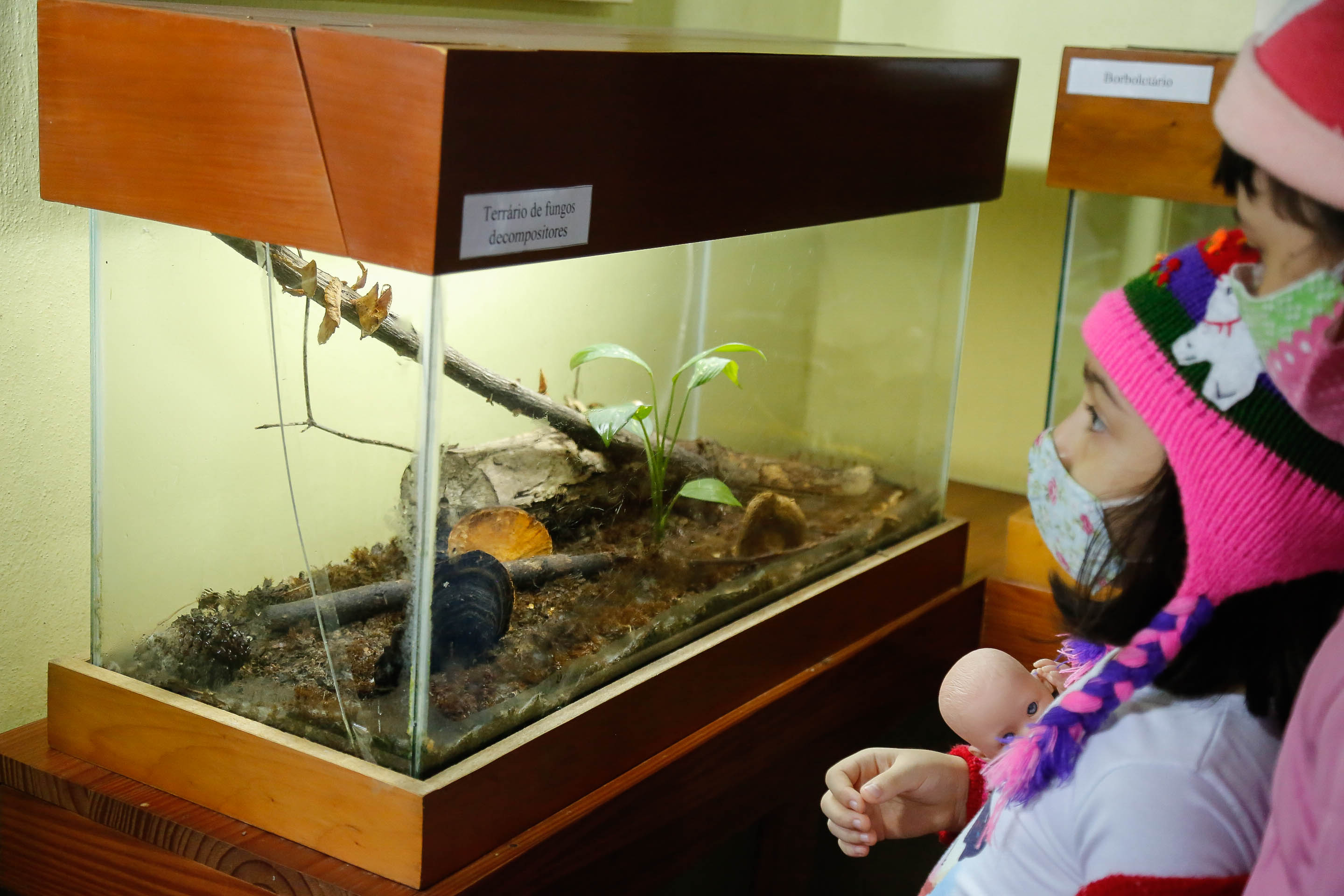 Museu de Ecologia Fritz Müller