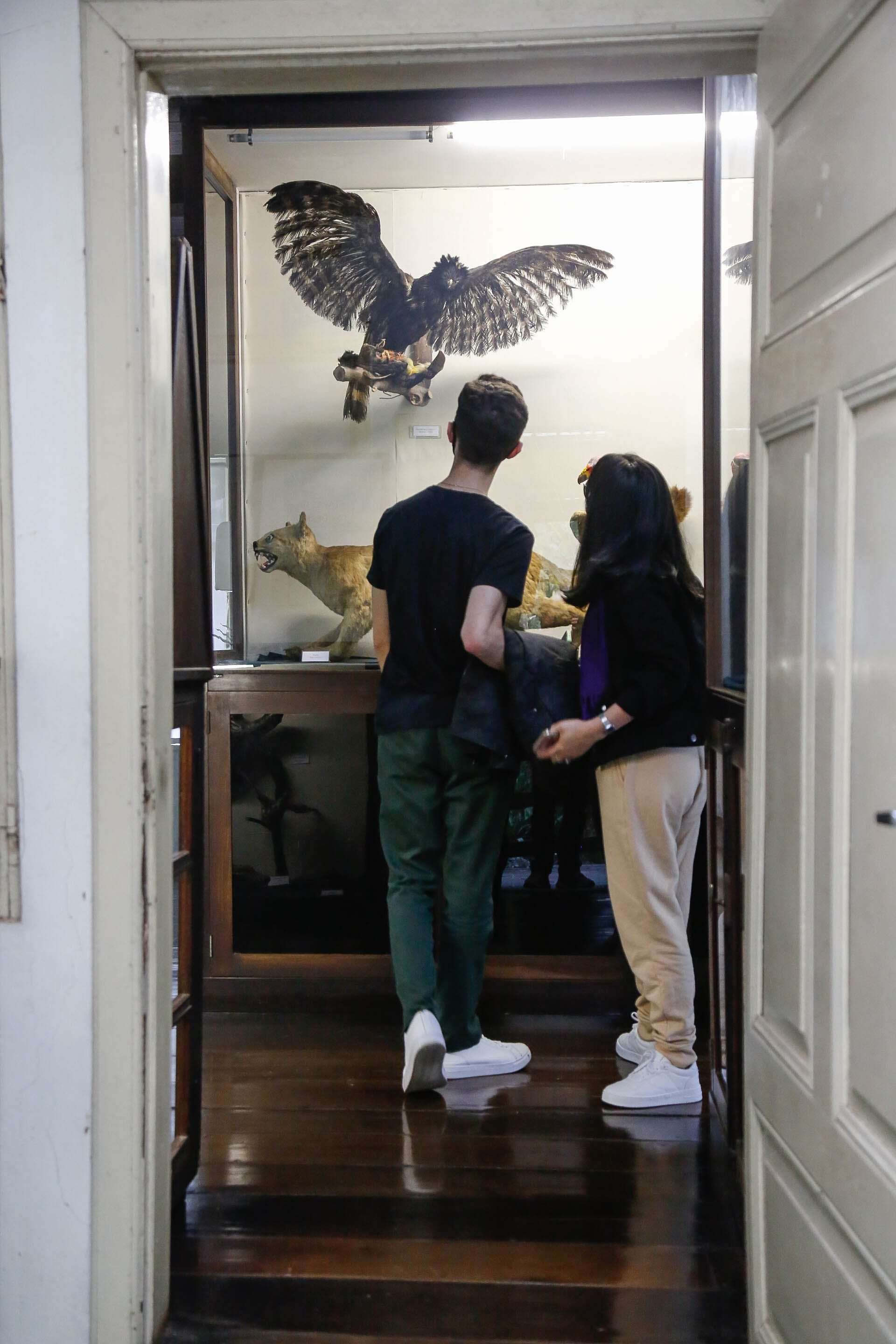 Museu de Ecologia Fritz Müller