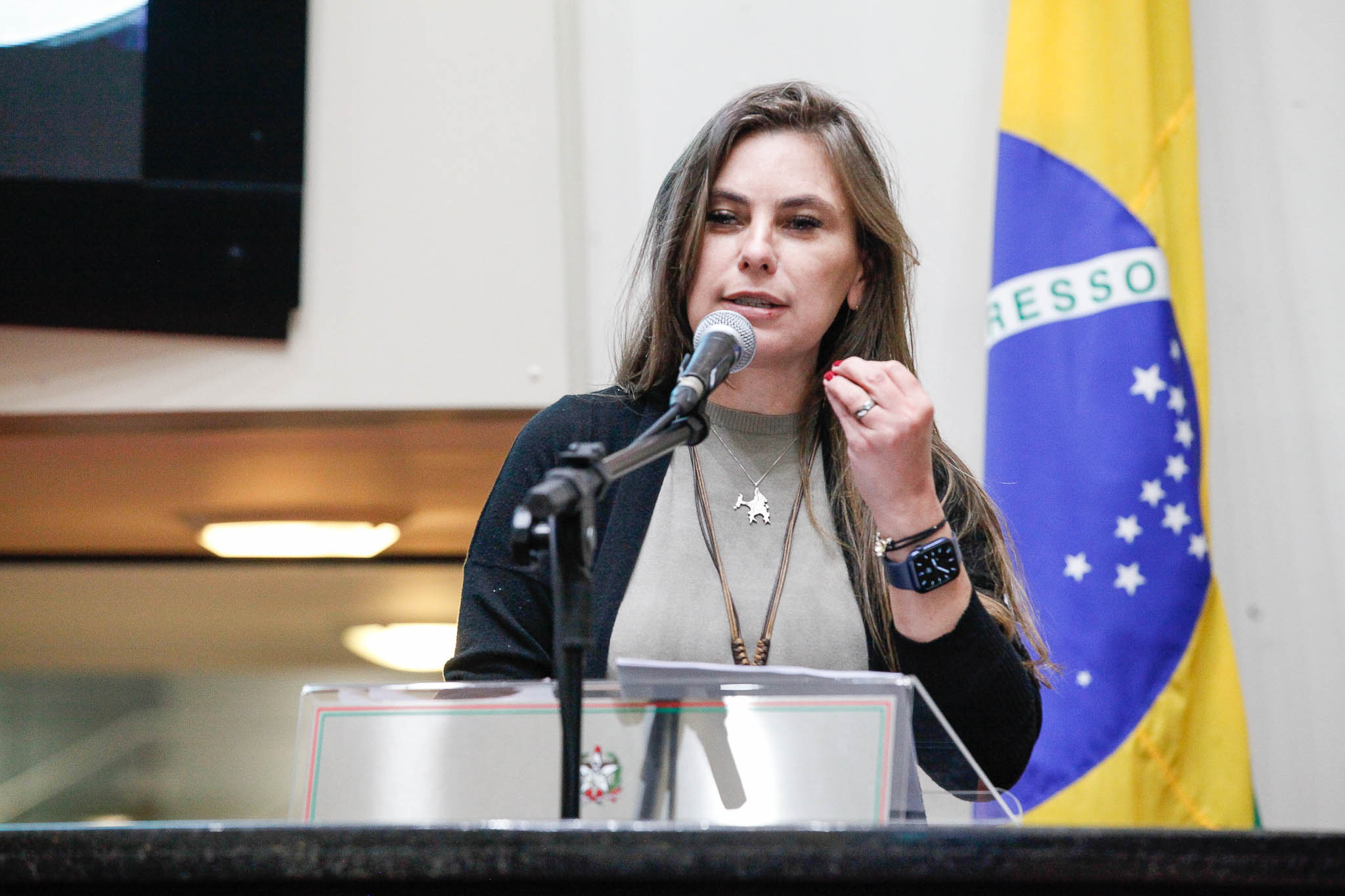Deputada Ana Paula da Silva (Sem Partido)