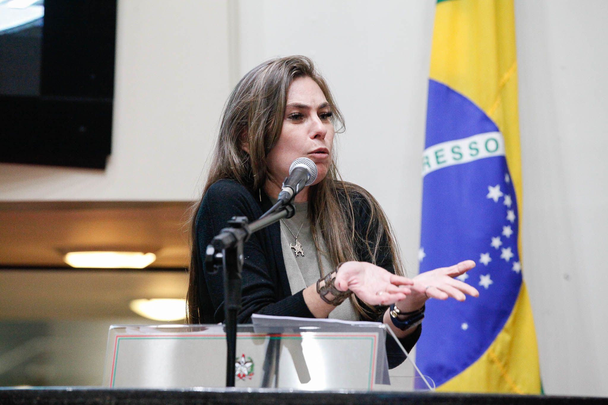 Deputada Ana Paula da Silva (Sem Partido)