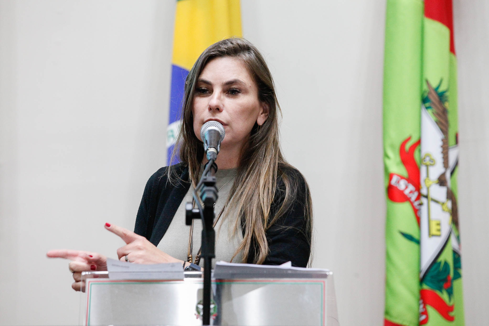 Deputada Ana Paula da Silva (Sem Partido)
