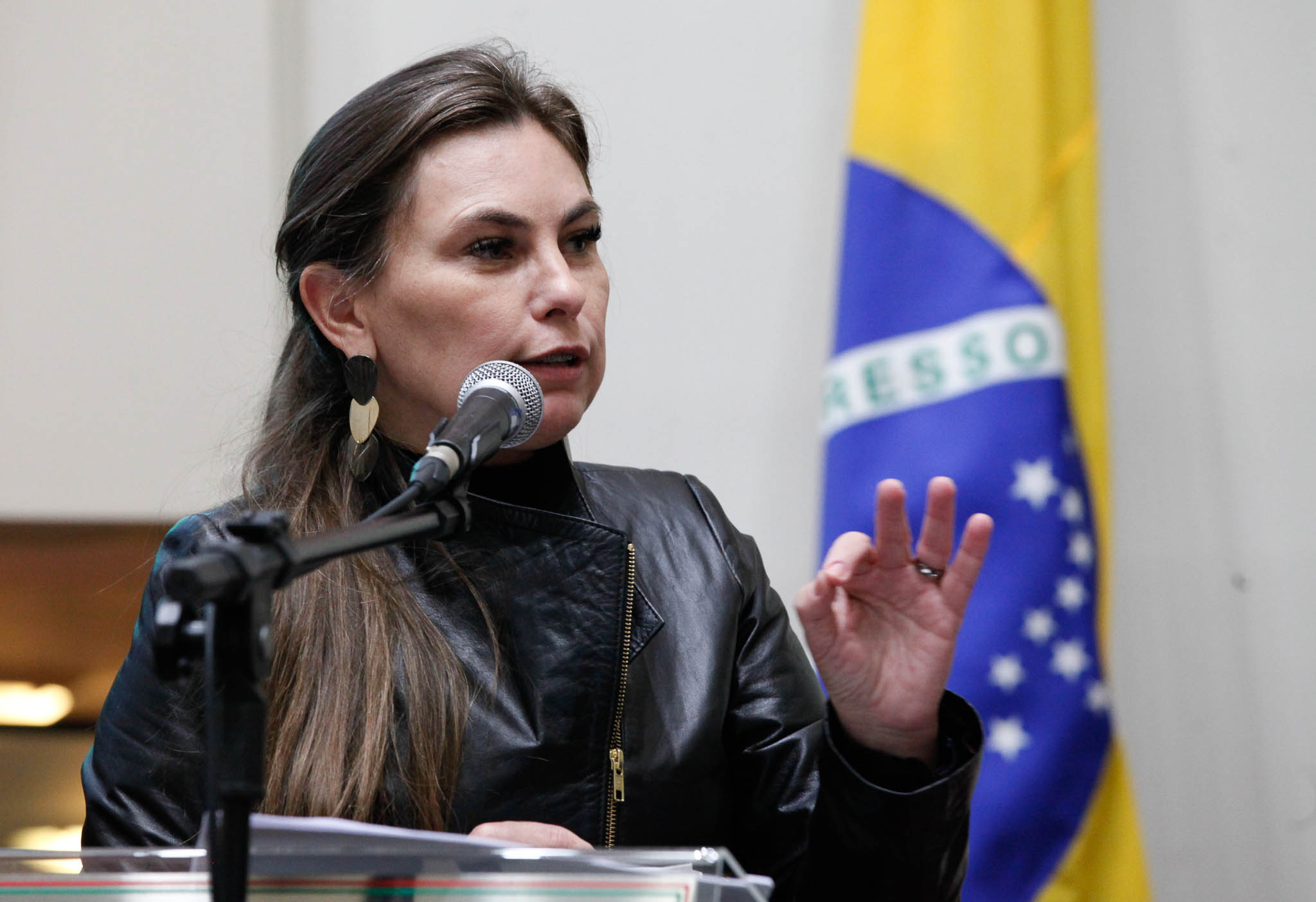 Deputada Ana Paula da Silva (Sem Partido)