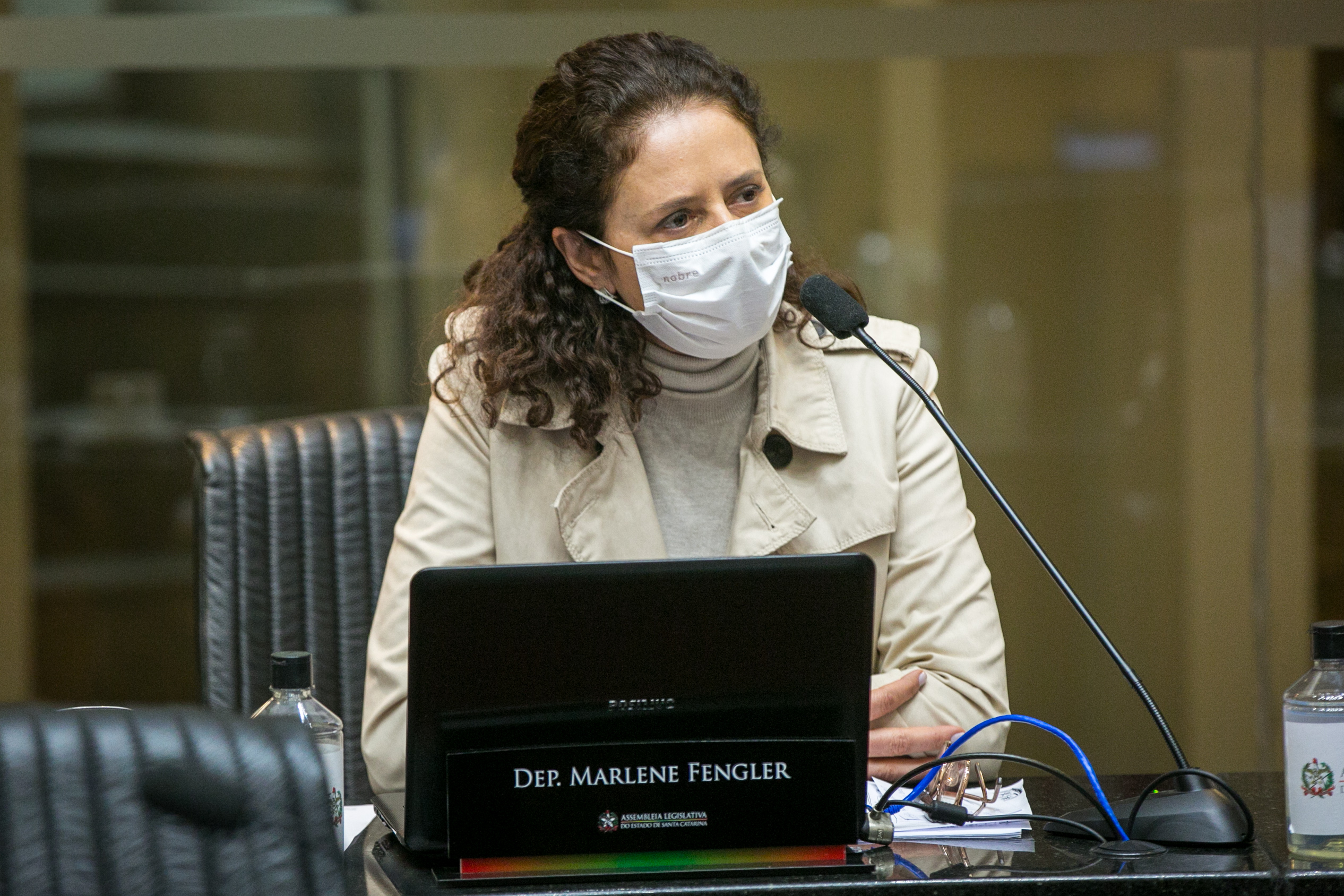 Deputada Marlene Fengler (PSD)