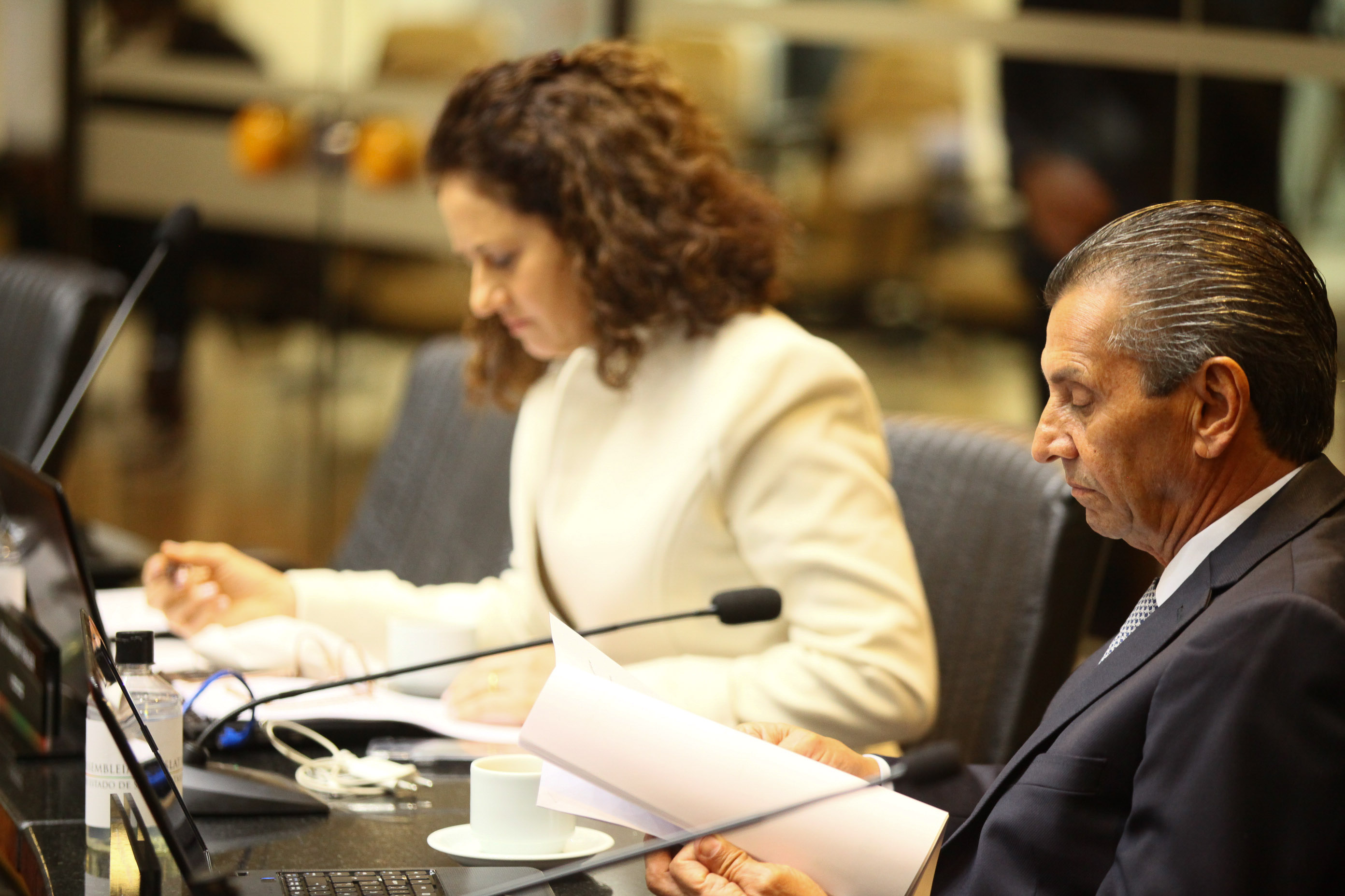 Reunião Conjunta das Comissões de Constituição e Justiça , de Finanças e de Trabalho - Deputada Marlene Fengler (PSD)
