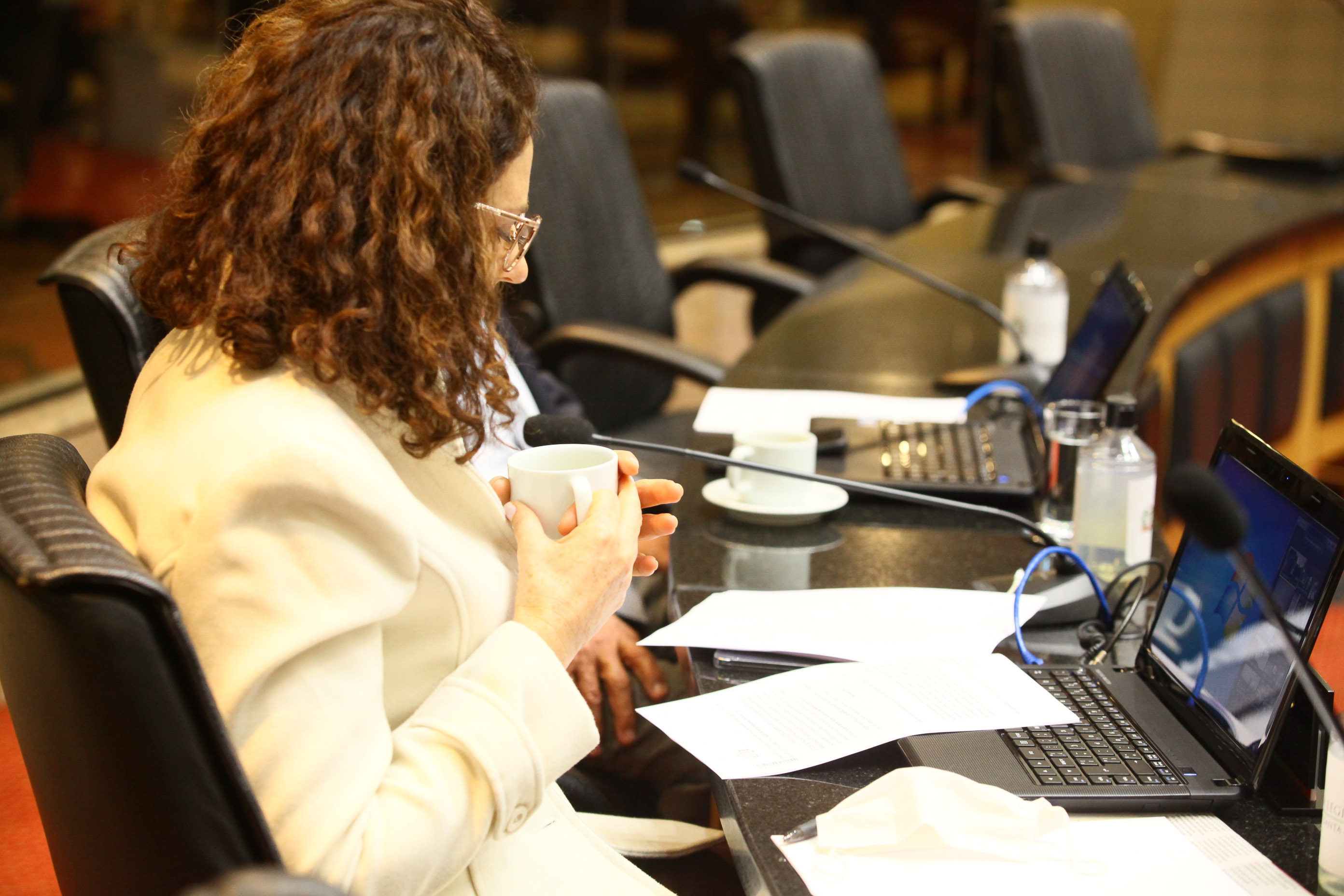 Reunião Conjunta das Comissões de Constituição e Justiça , de Finanças e de Trabalho - Deputada Marlene Fengler (PSD)