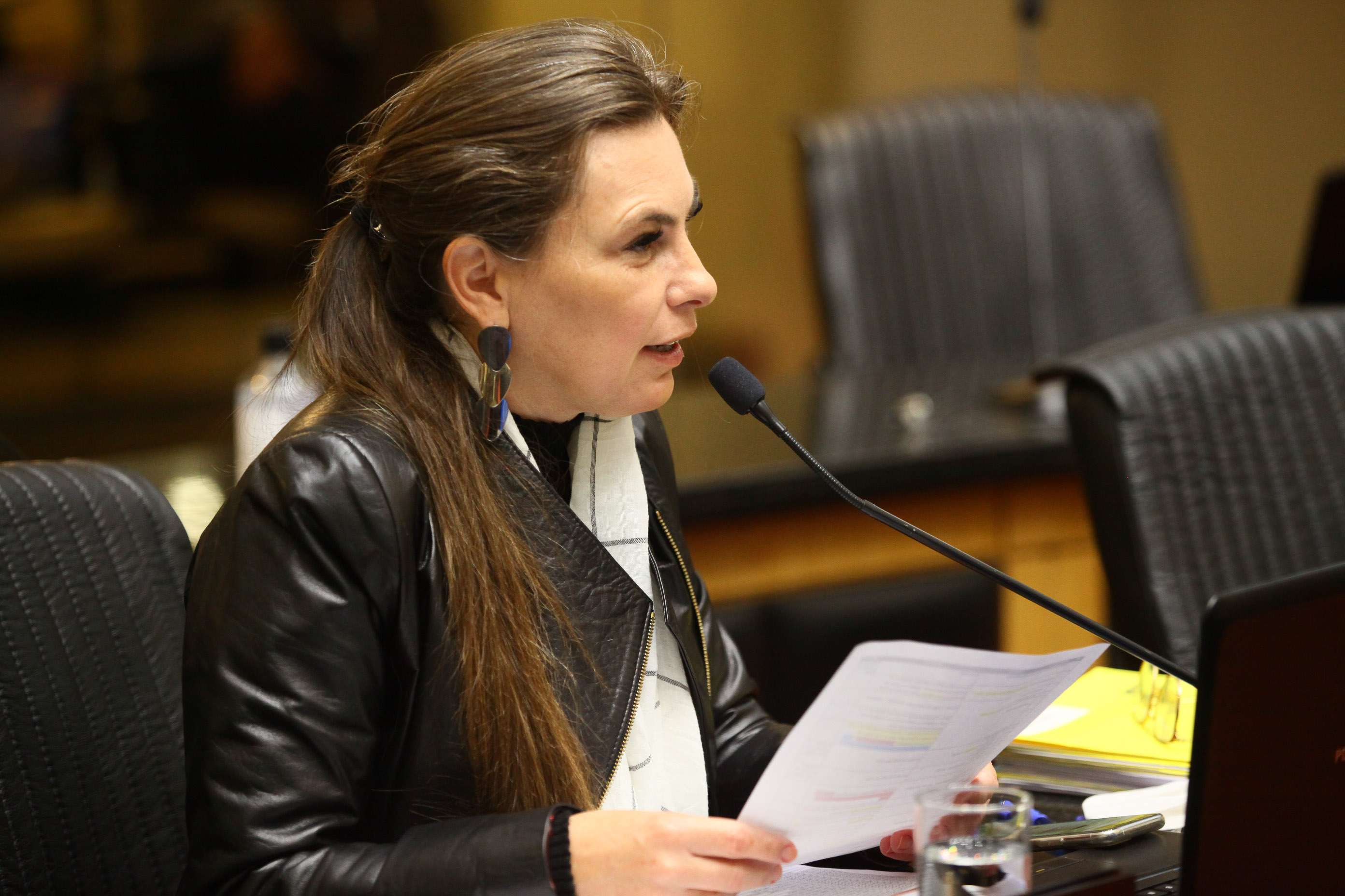 Reunião Conjunta das Comissões de Constituição e Justiça , de Finanças e de Trabalho - Deputada Ana Paula da Silva (PDT)